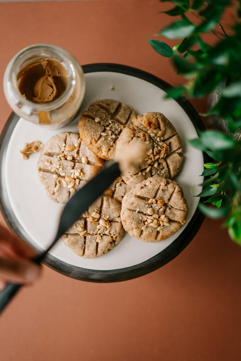 cookies on white ceramic plate