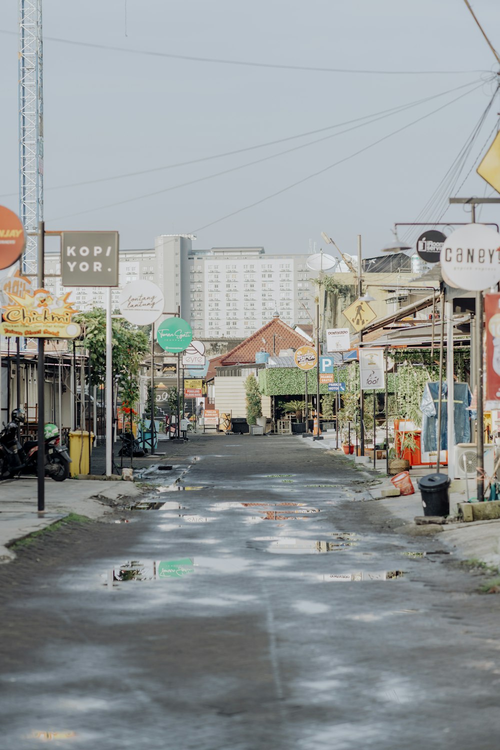 people walking on street during daytime