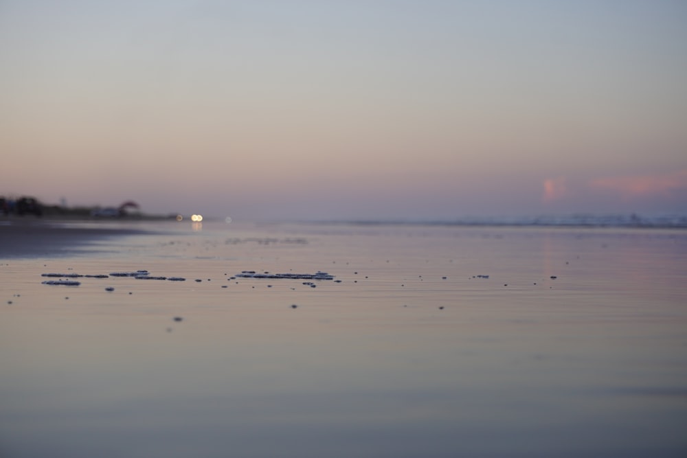 Cuerpo de agua durante la puesta de sol