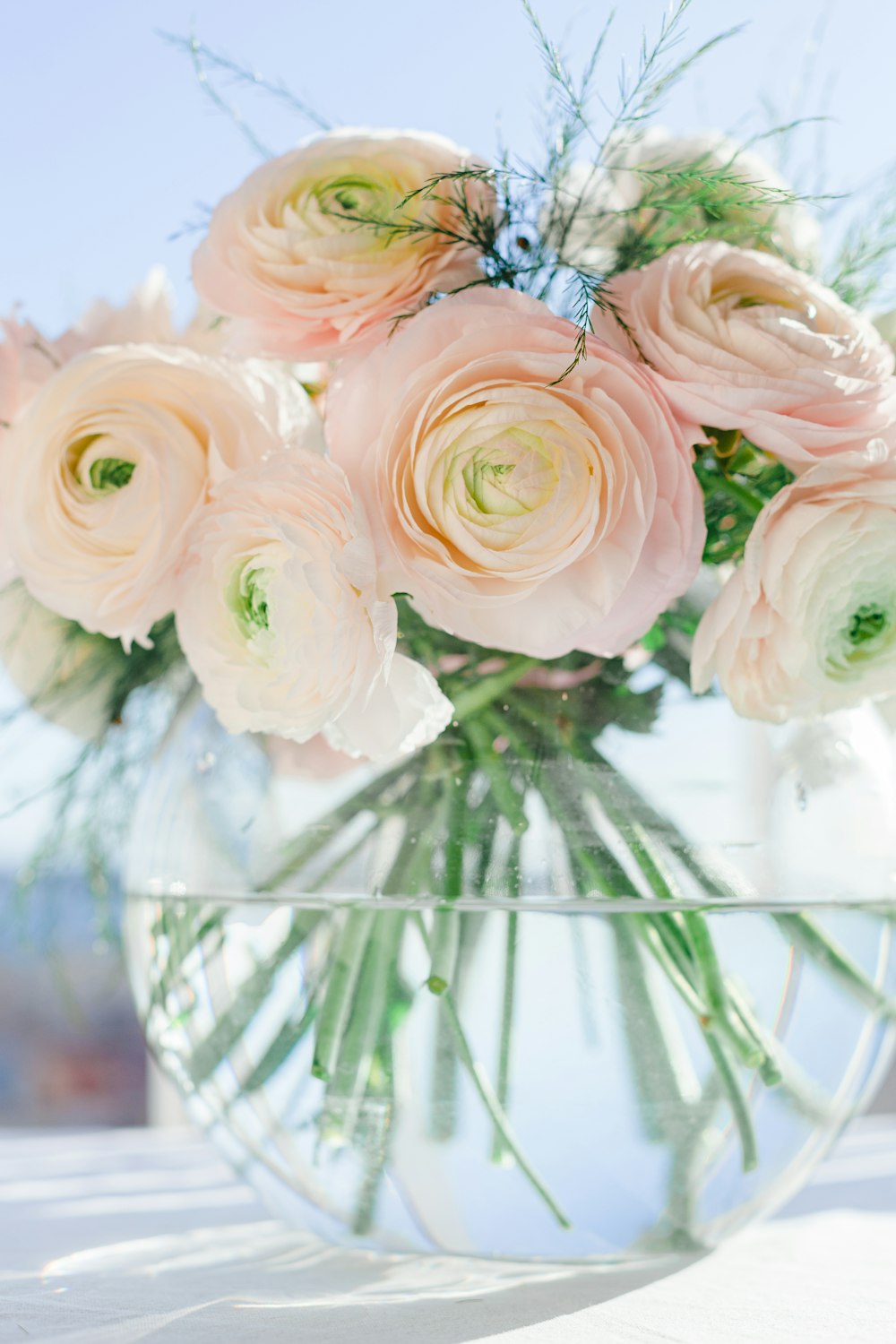 rosas blancas y rosas en jarrón de vidrio transparente