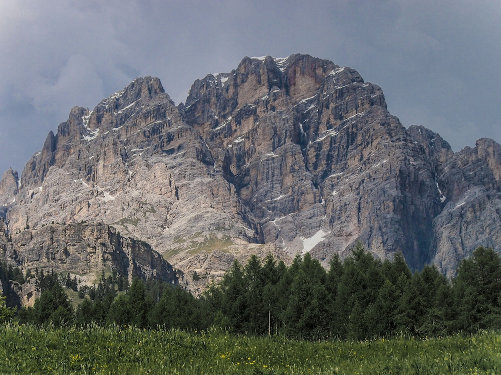 green grass field near rocky mountain during daytime