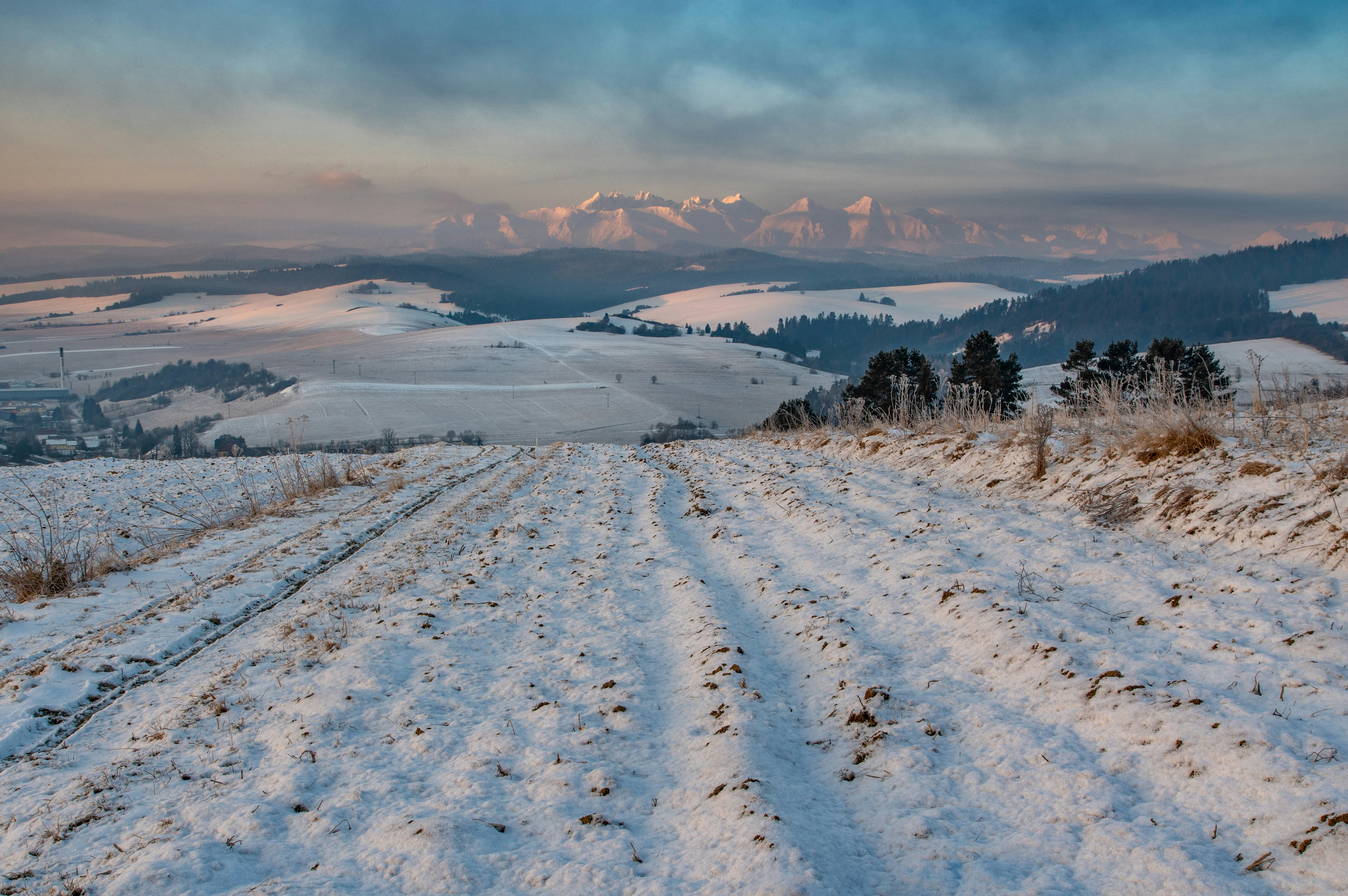 snow covered field during daytime