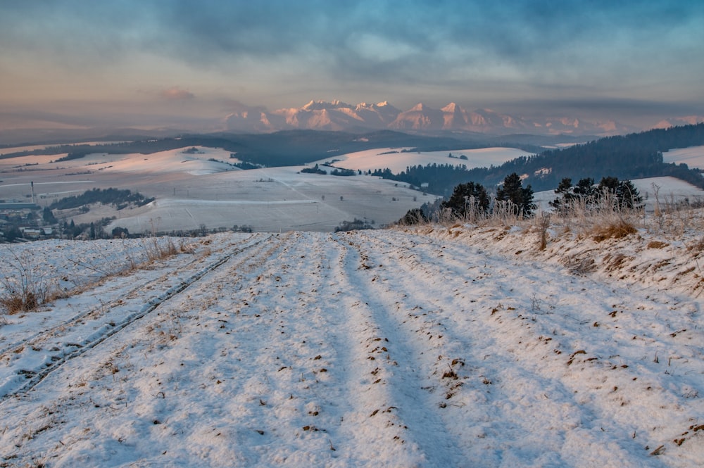 campo innevato durante il giorno