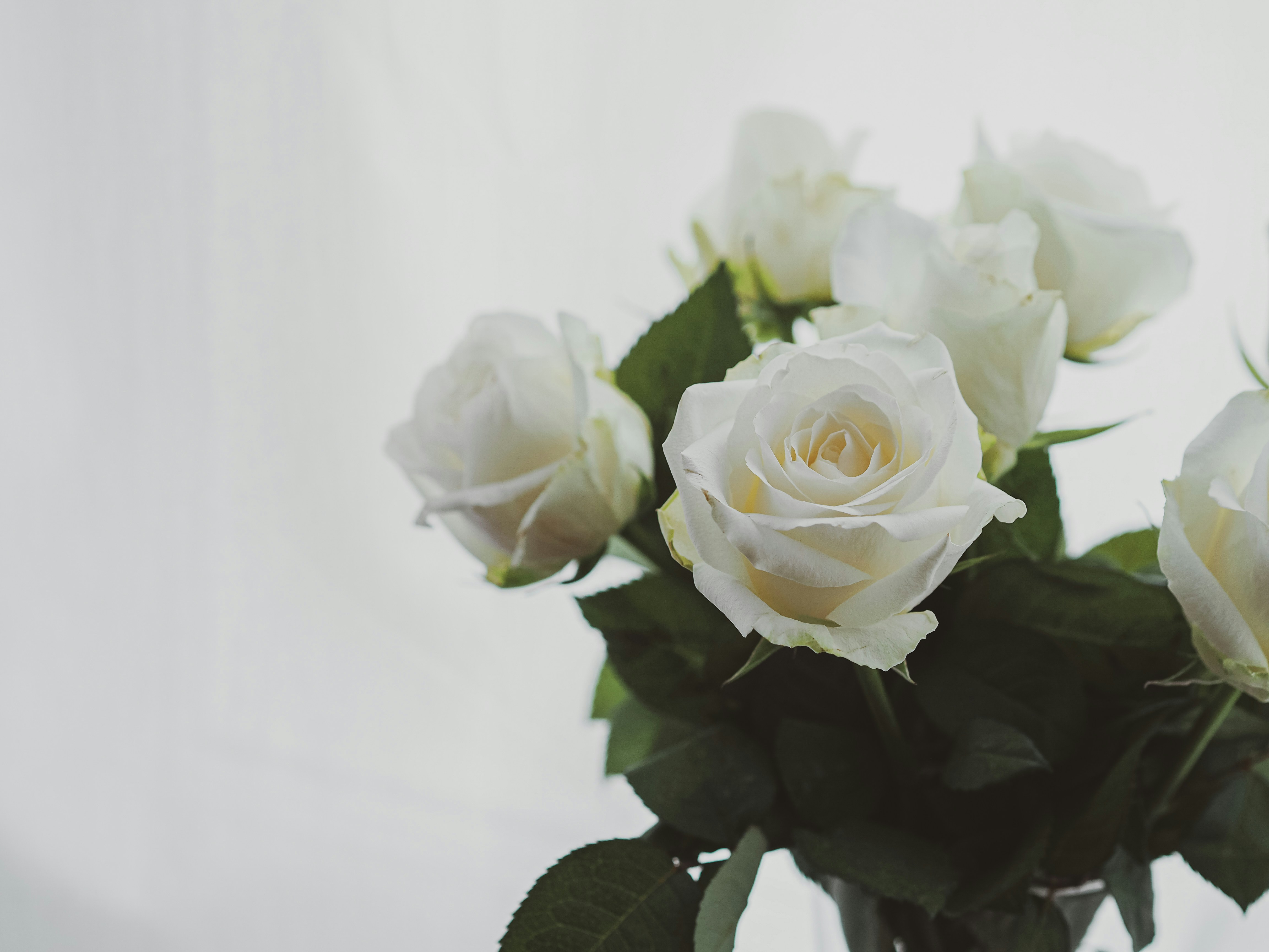 Photo by laurachouette