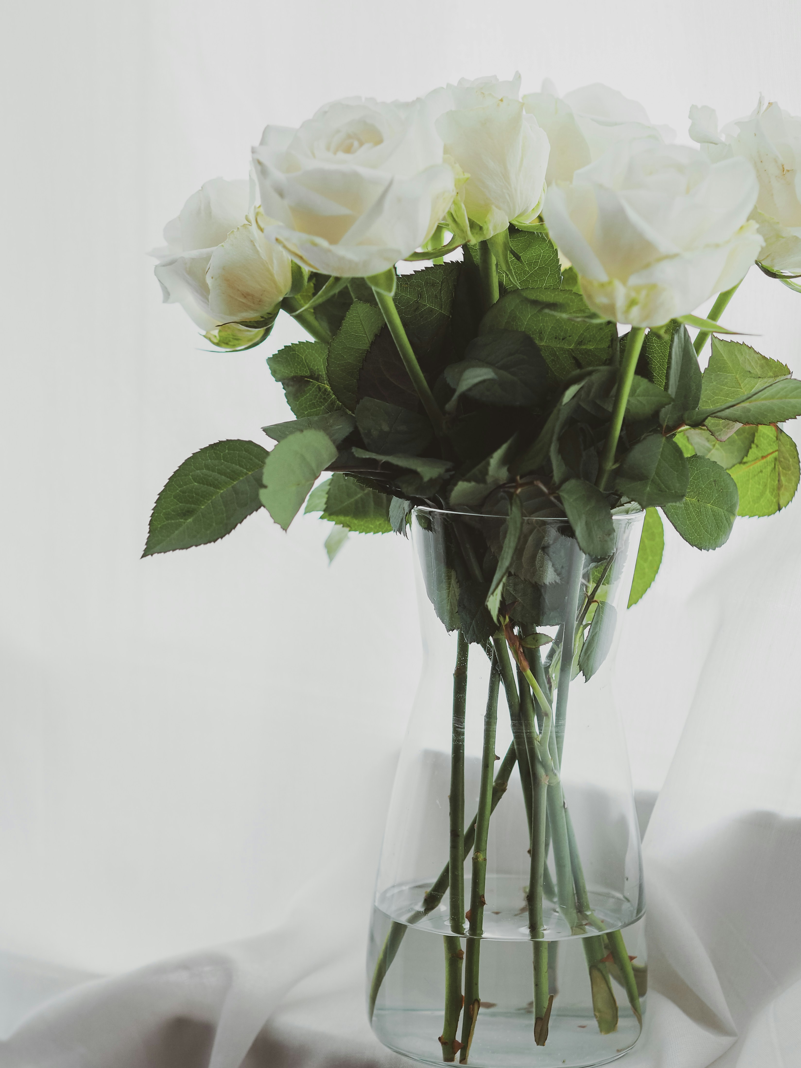 Photo by laurachouette