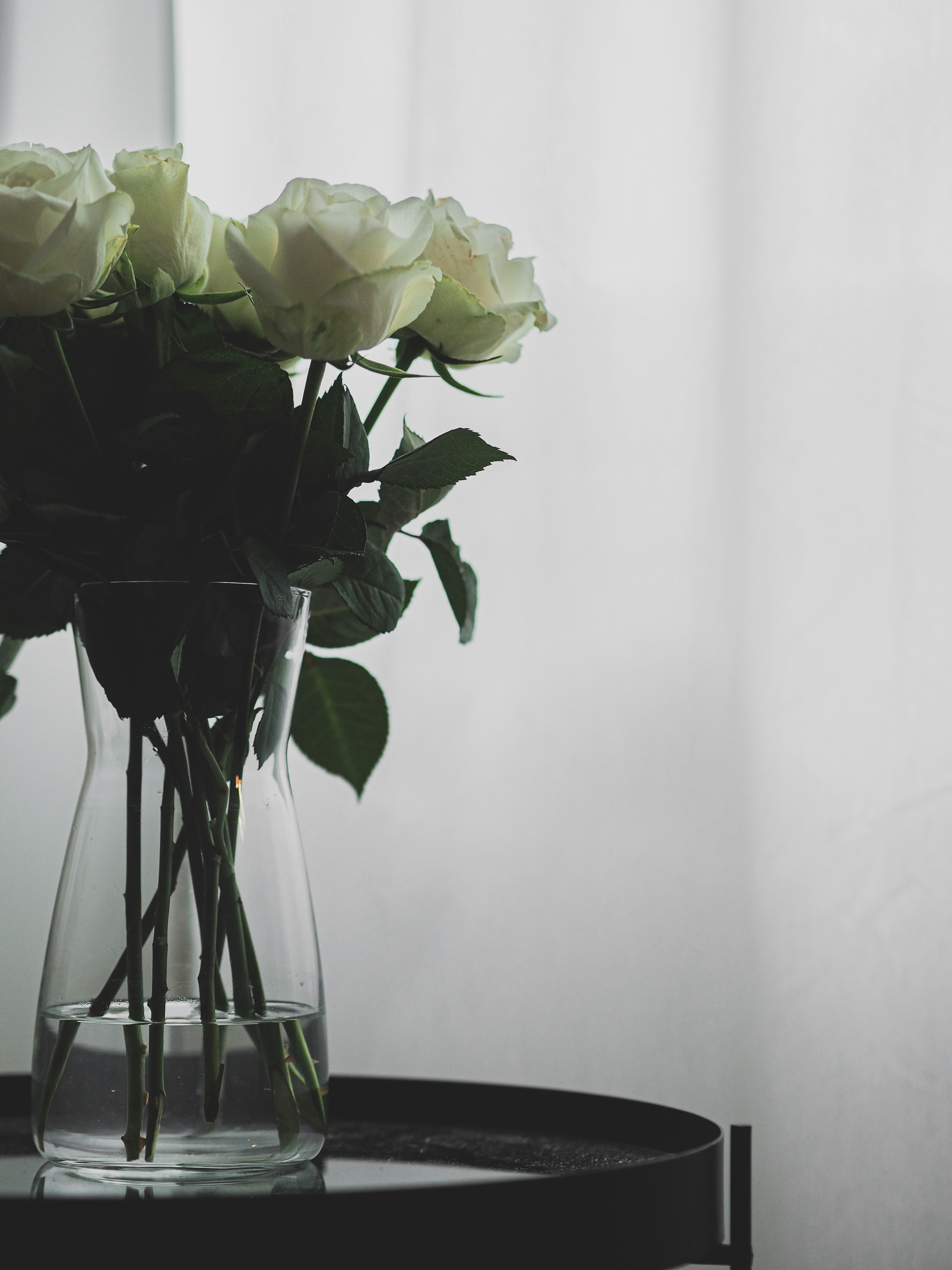 Photo by laurachouette