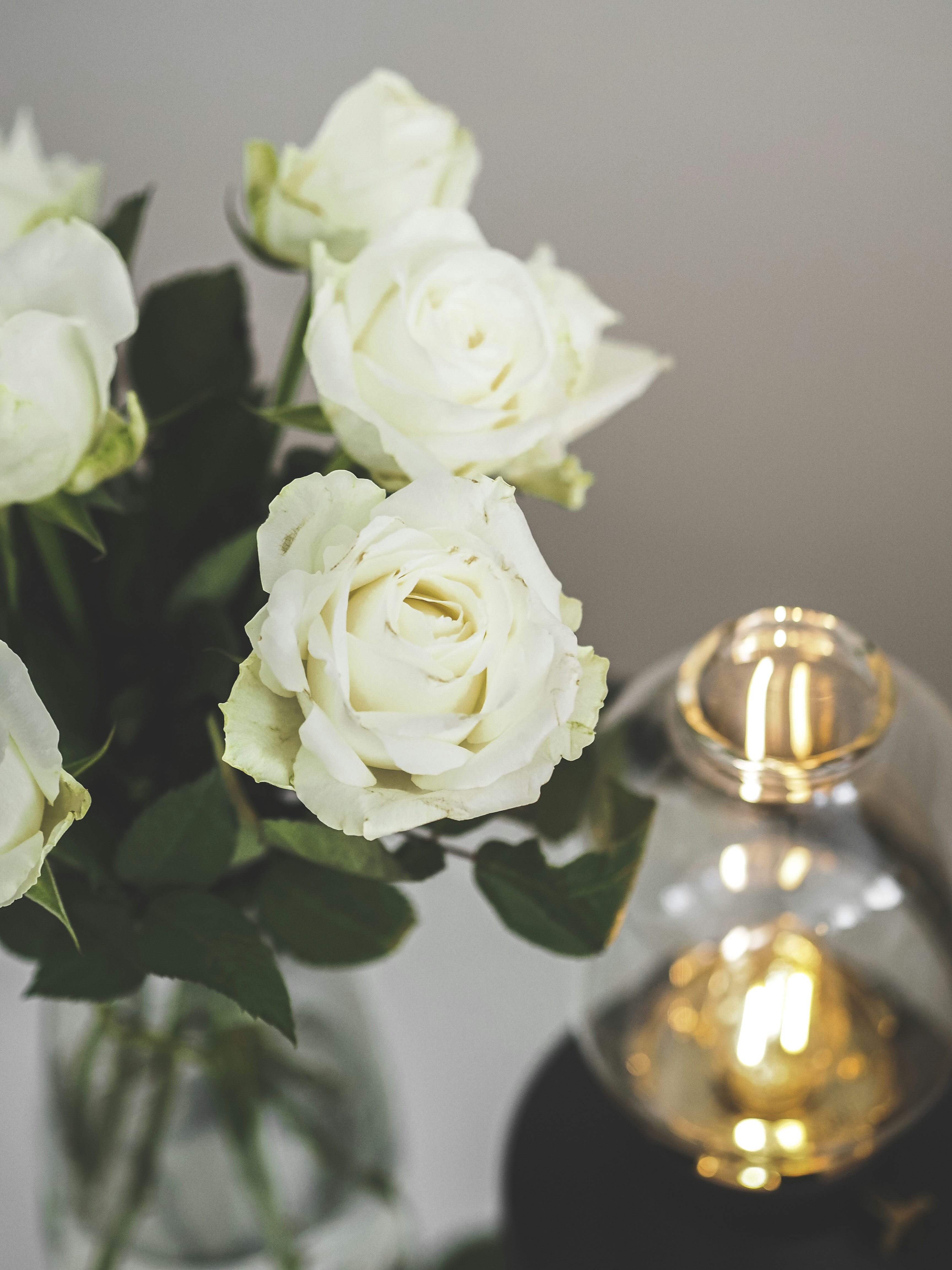 Photo by laurachouette