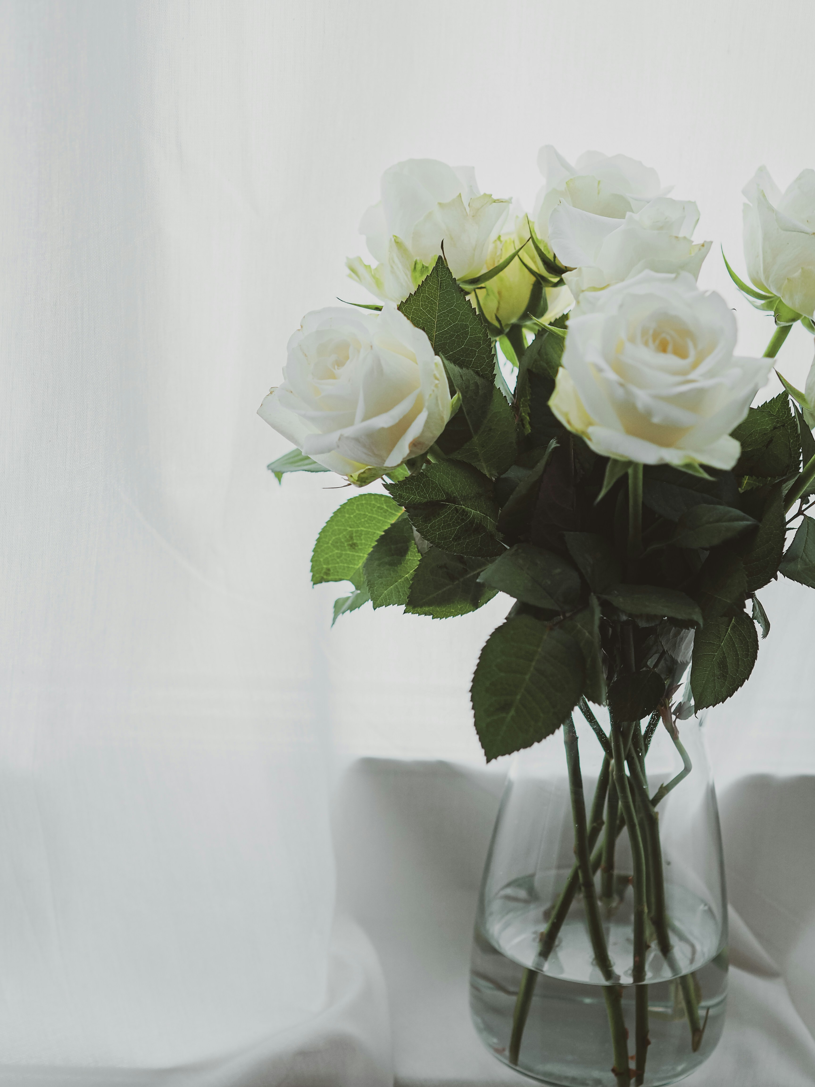 Photo by laurachouette