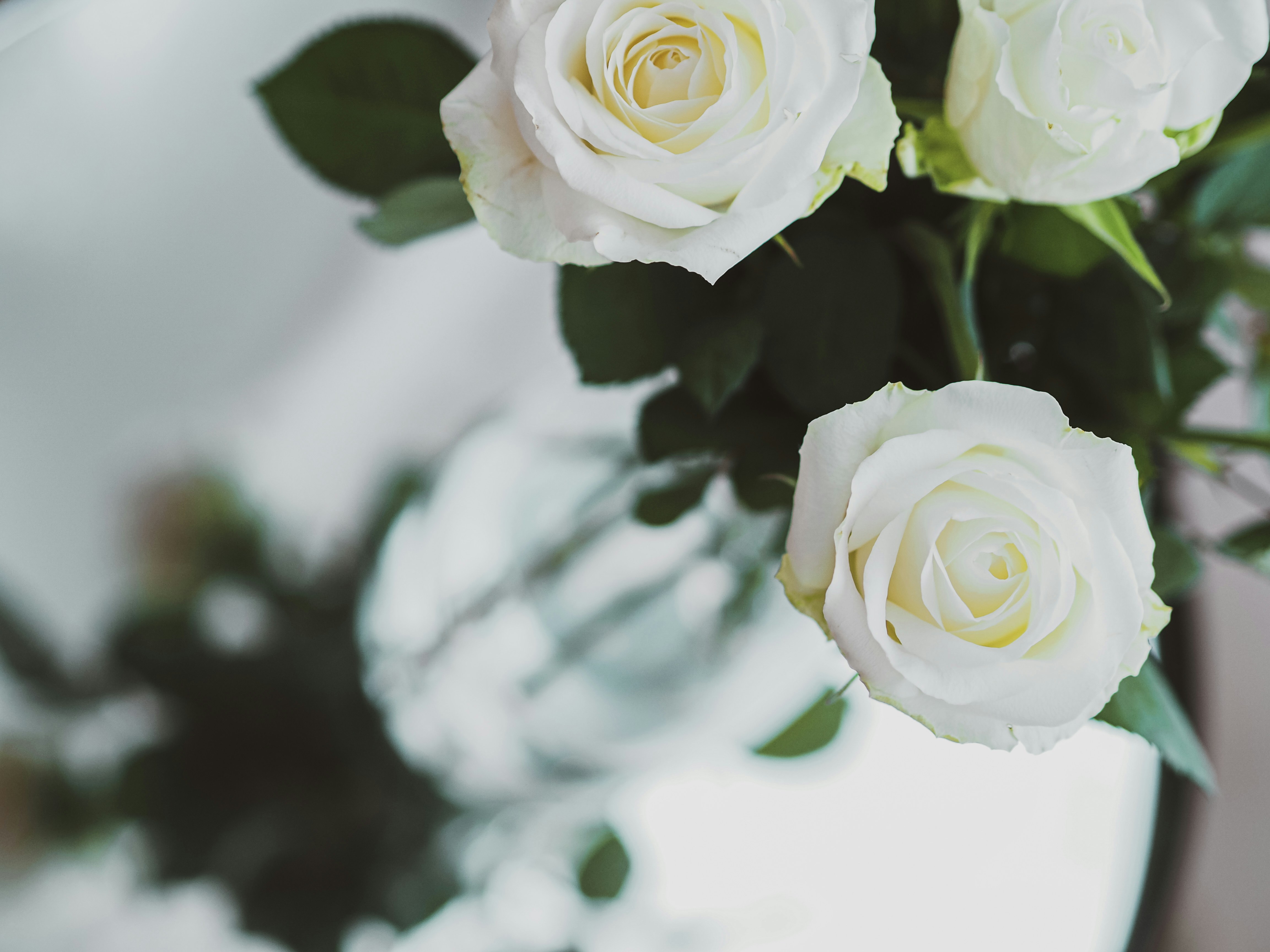 Photo by laurachouette