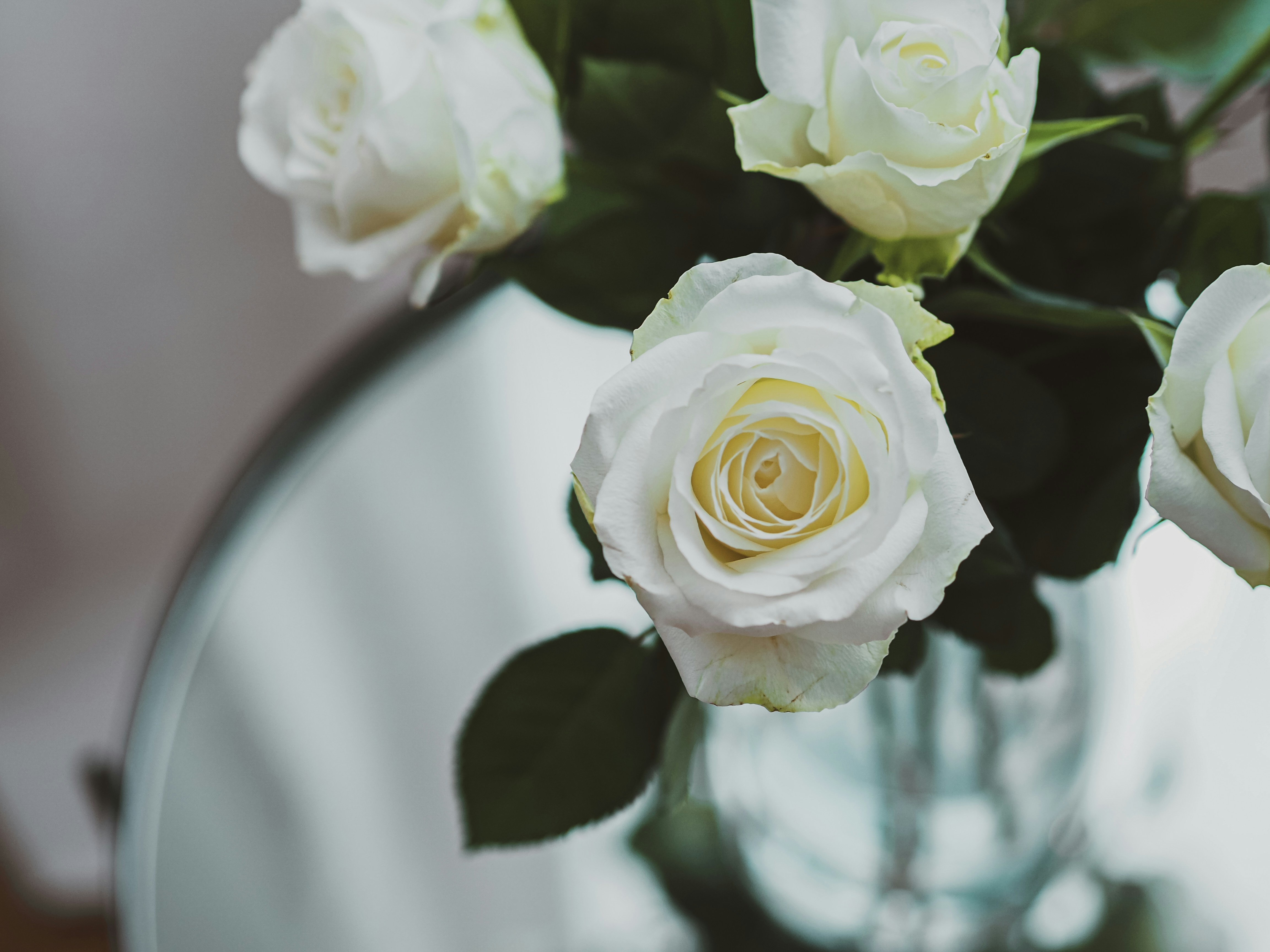 Photo by laurachouette