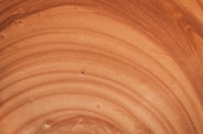 brown and white round illustration
