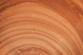 brown and white round illustration