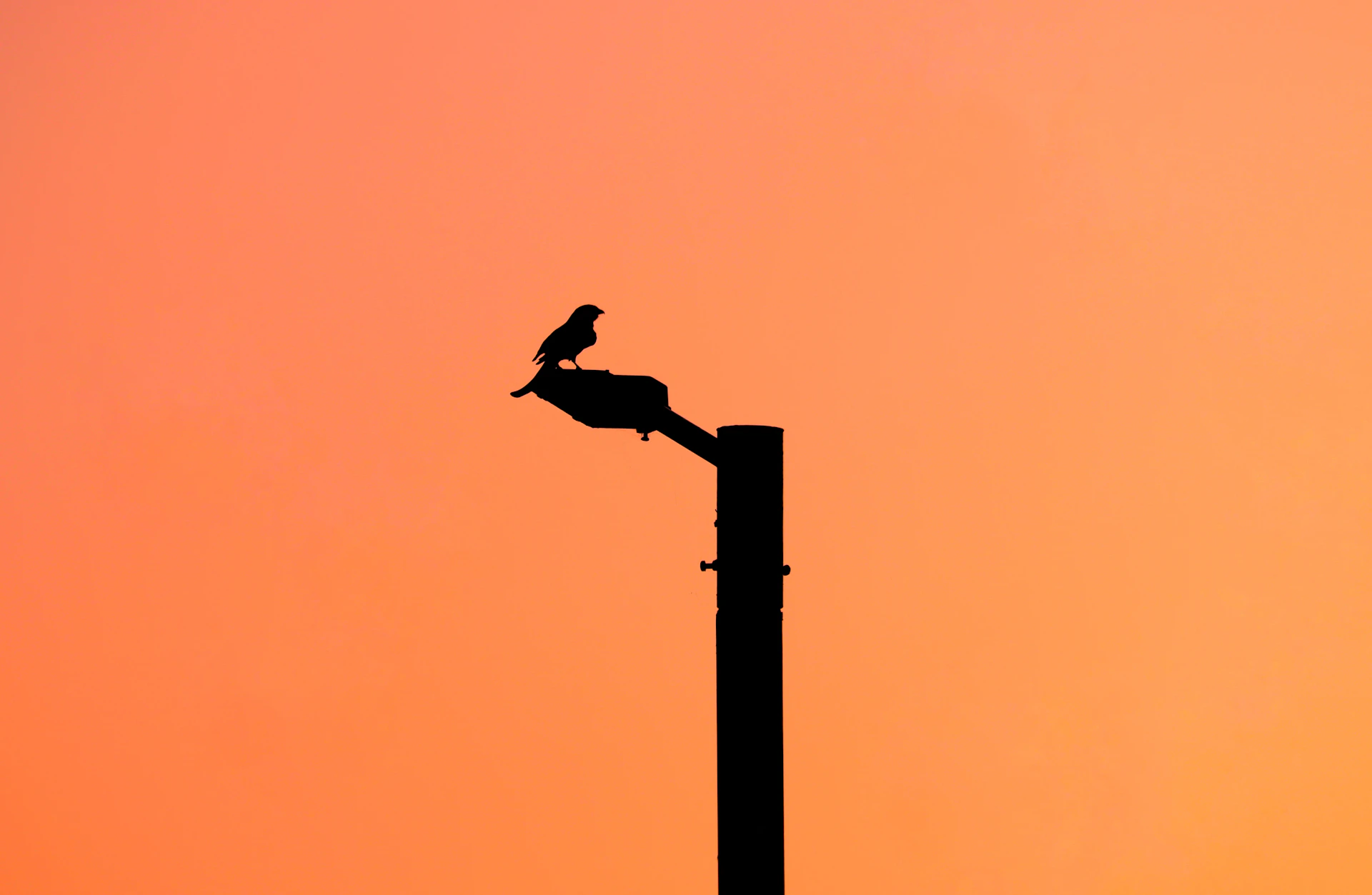woman wearing yellow long-sleeved dress under white clouds and blue sky during daytime