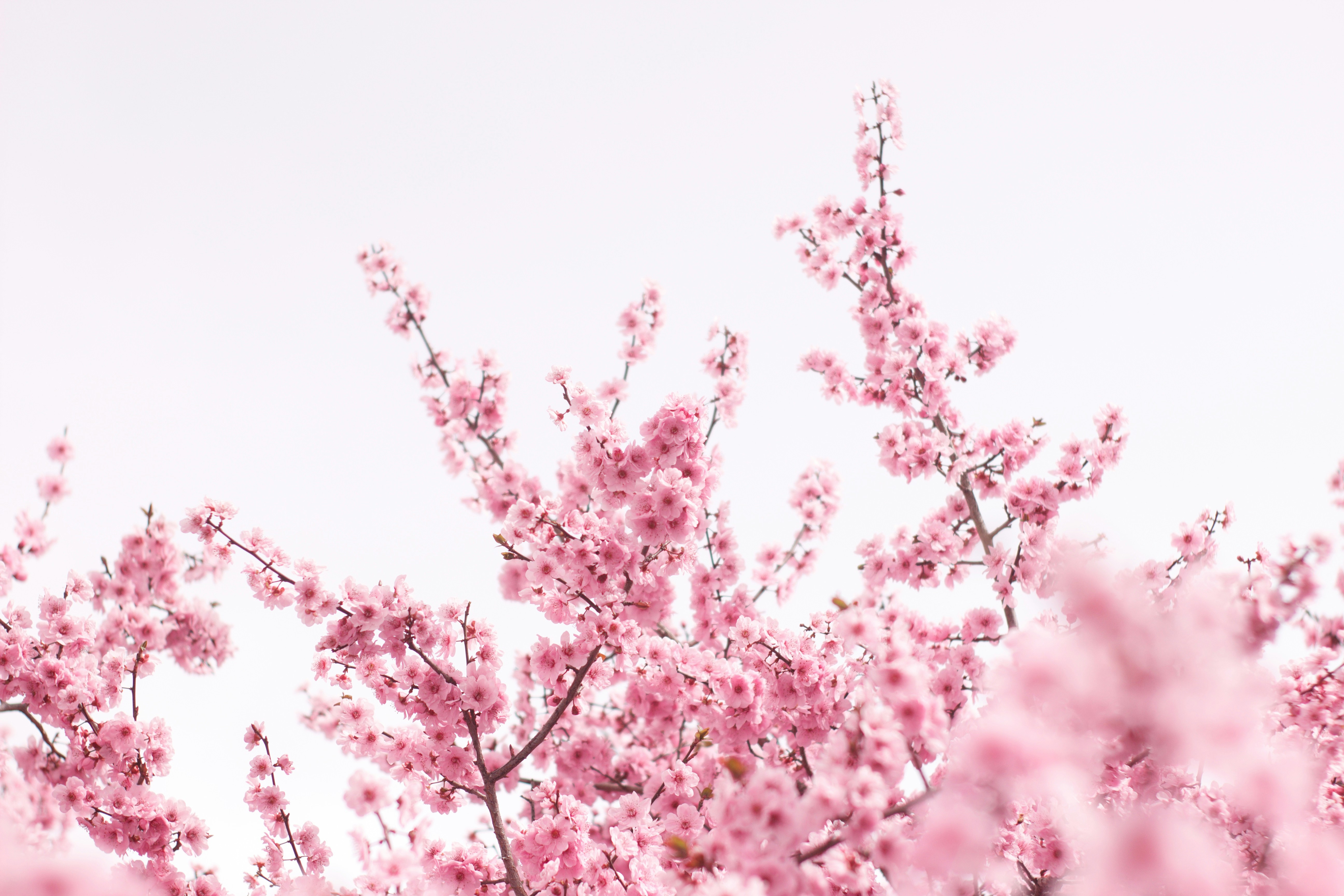 Photo by candy_keeper