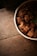 A bowl filled with chunks of pork belly, possibly braised, is placed on a rustic wooden table. The meat appears succulent and is garnished with green herbs, creating a homely and appetizing presentation.
