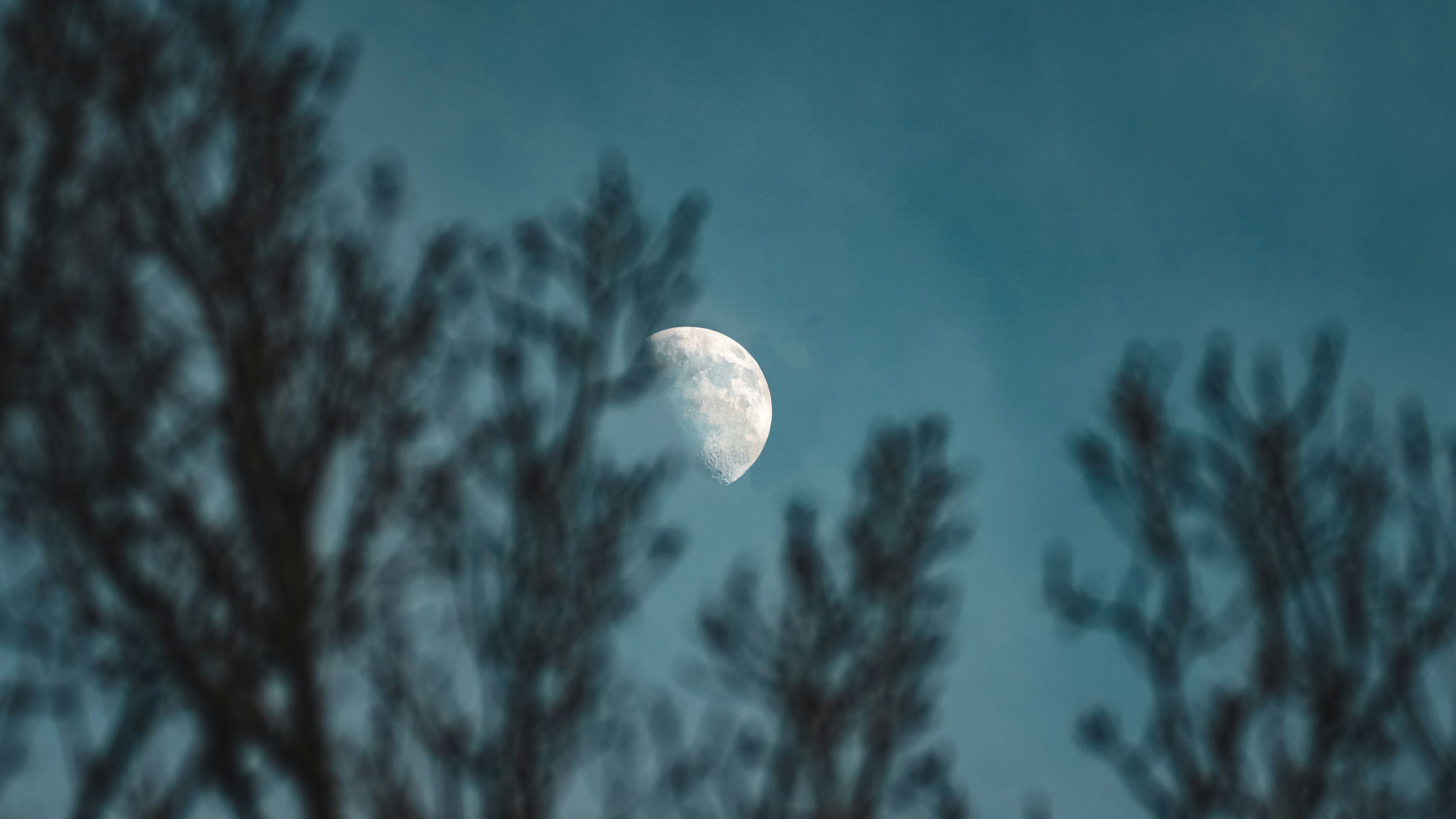 Photo by philipmyr