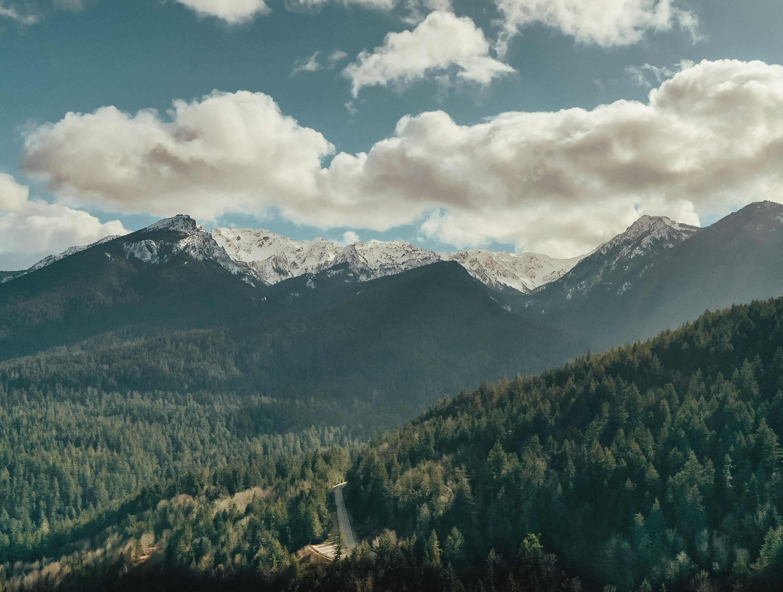 Living in Seattle: April Festivals You Don’t Want to Miss