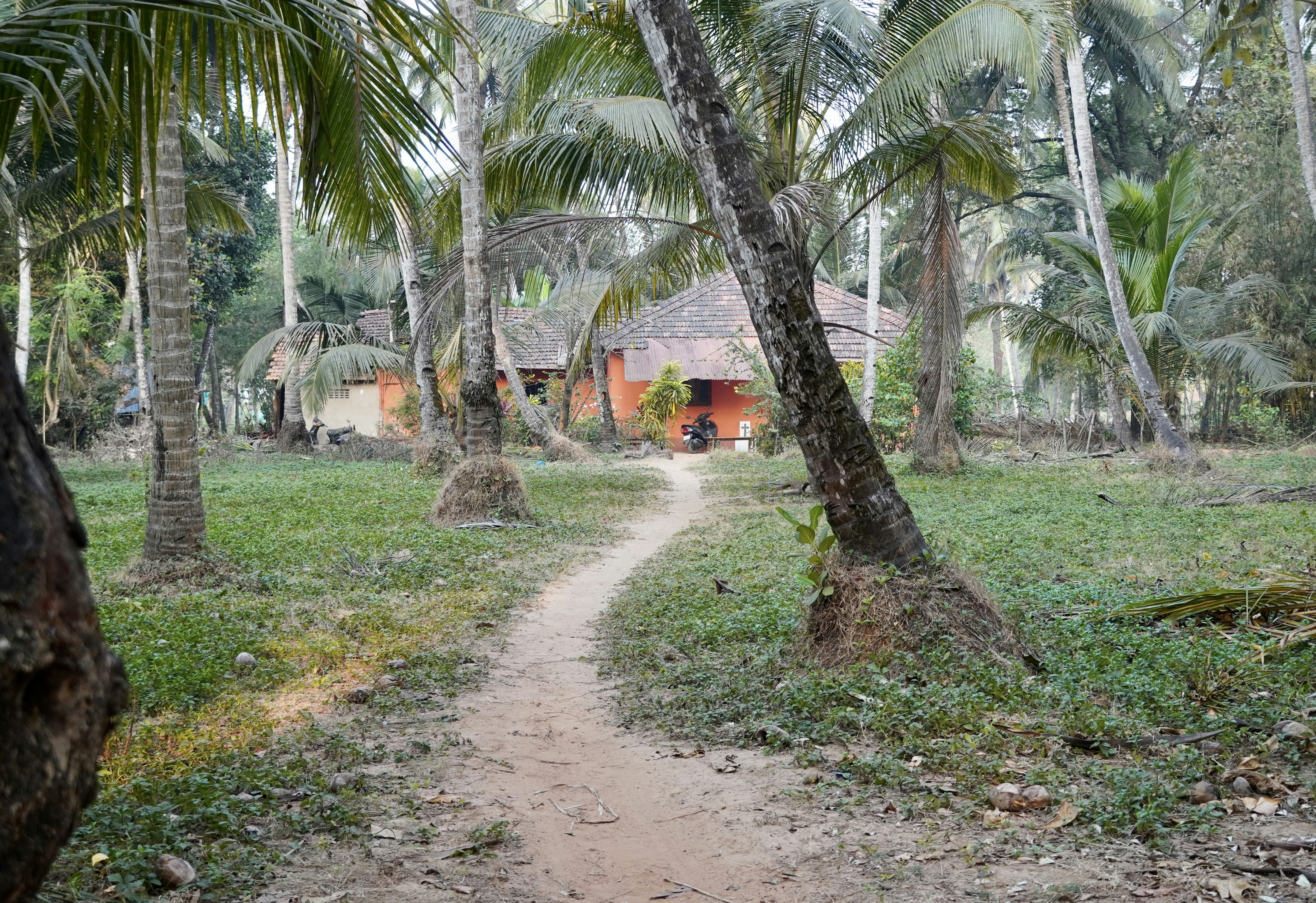 Photo by nivi_tauras07