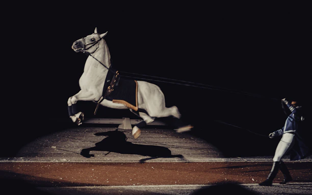 A poised hunter jumper horse captured mid-leap against a deep navy sky at dusk.