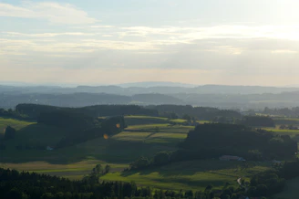 A peaceful landscape showing the rolling hills and forests of the Haldimand Tract under a bright sky.