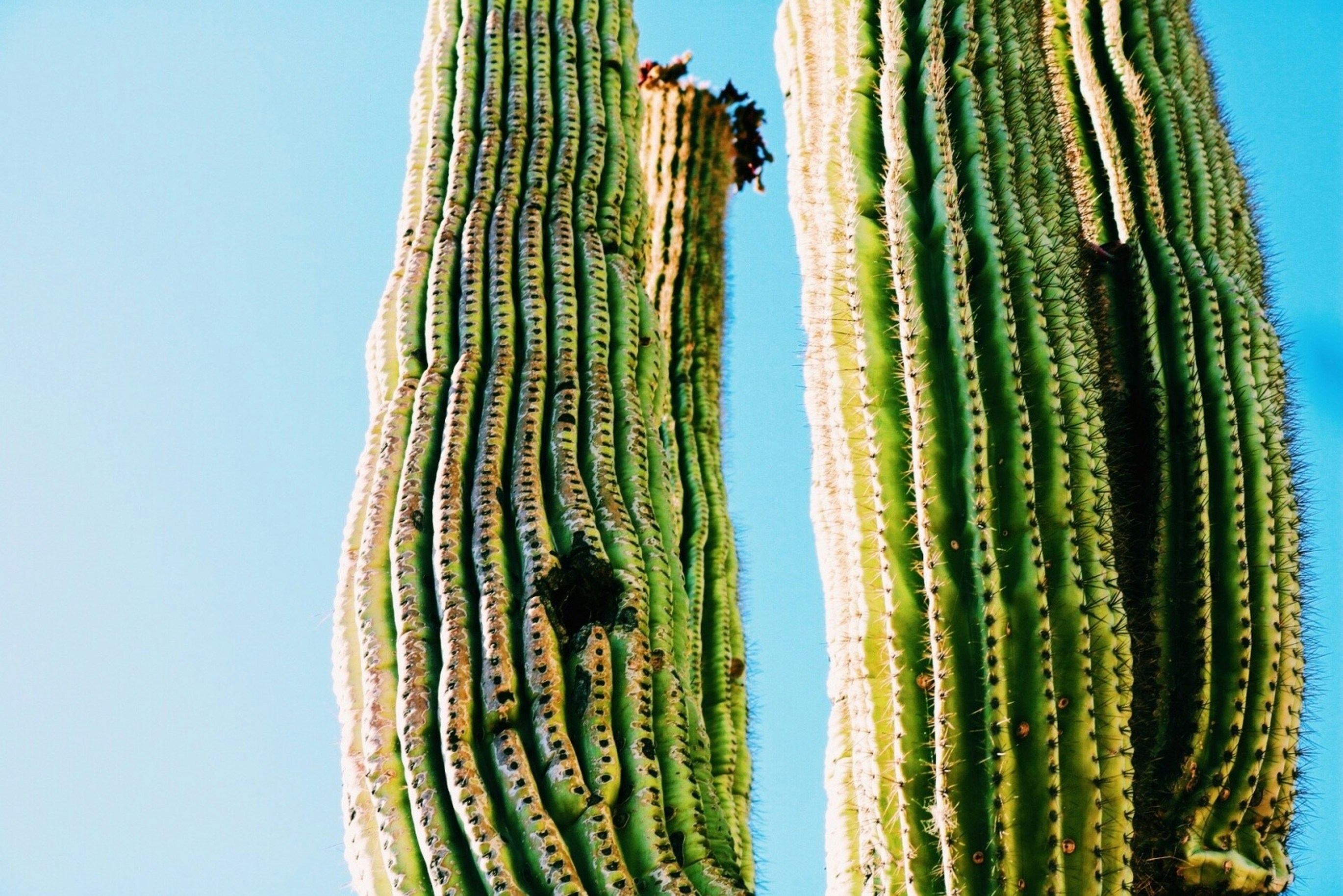 Photo by paytonputzer17