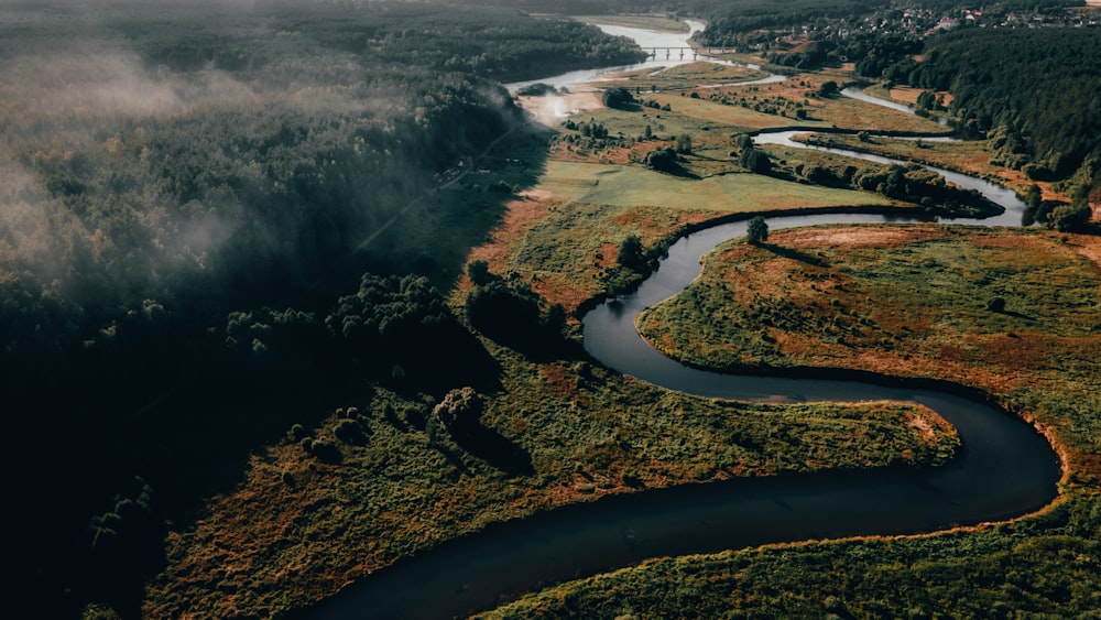 Veduta aerea del fiume tra gli alberi durante il giorno