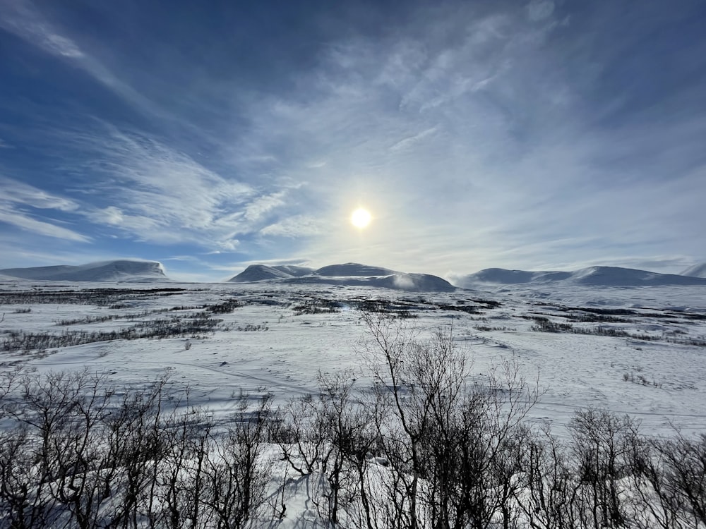 snow covered field under blue sky during daytime