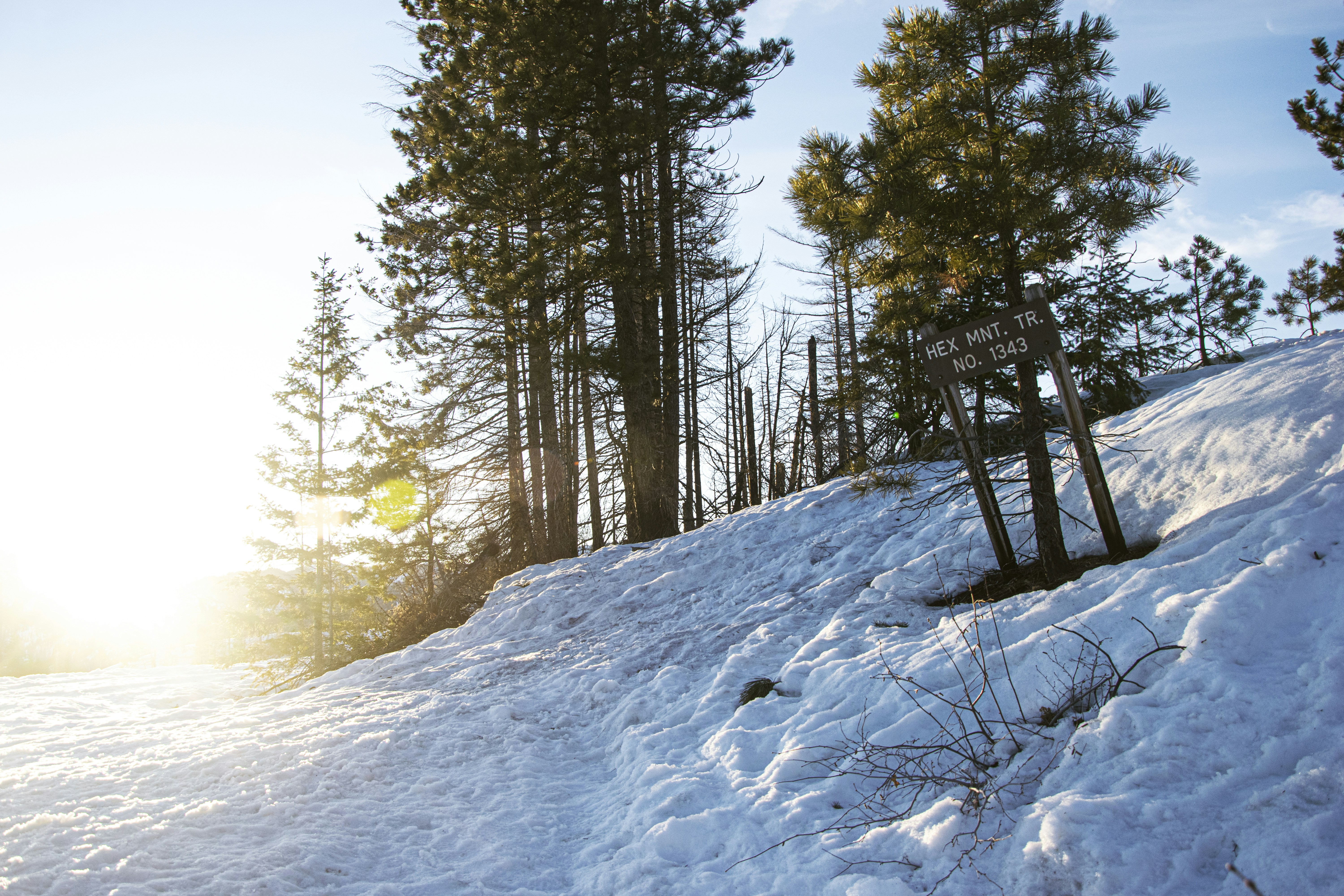 Photo by pilgrimmemoirs