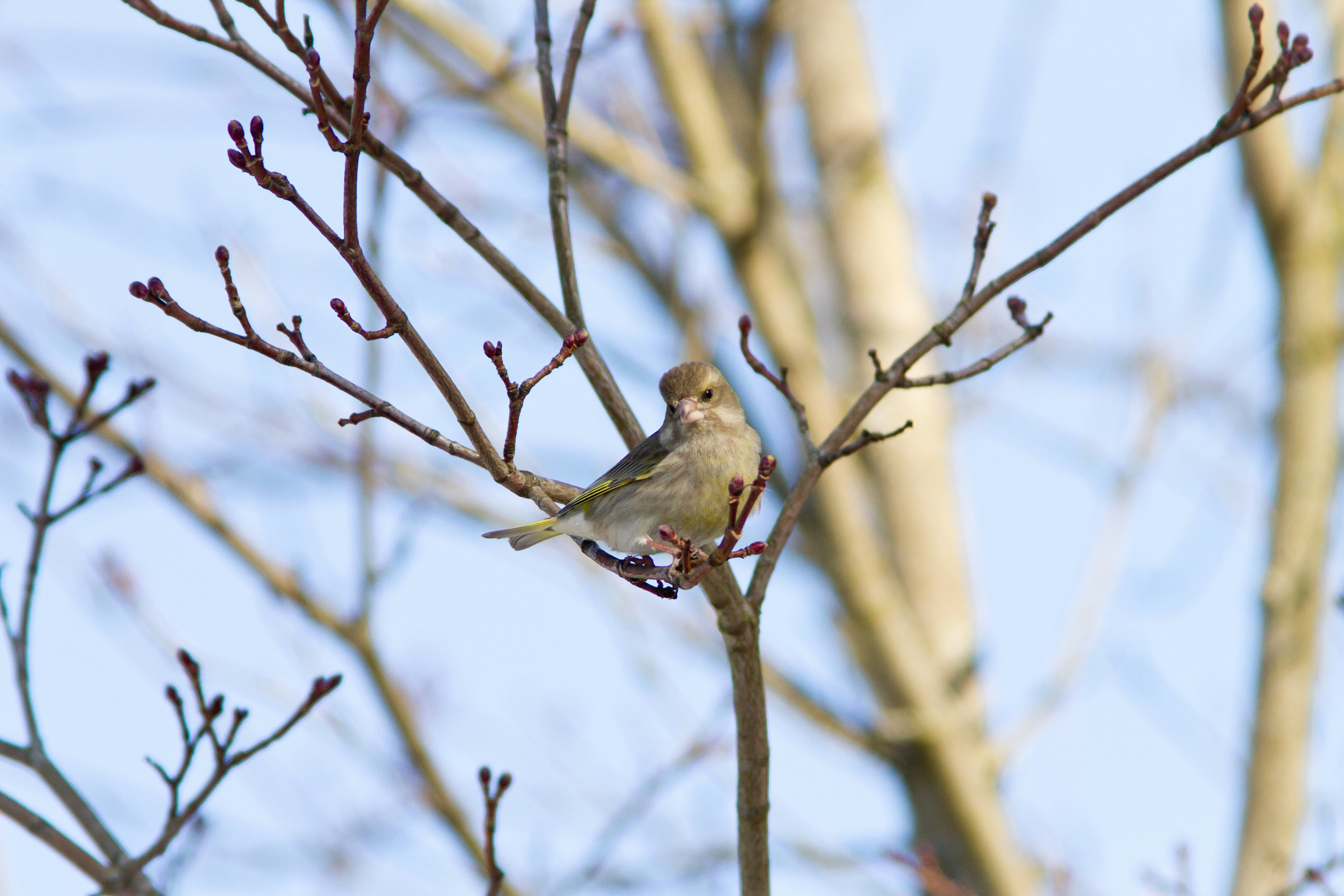 Photo by valentinhintikka