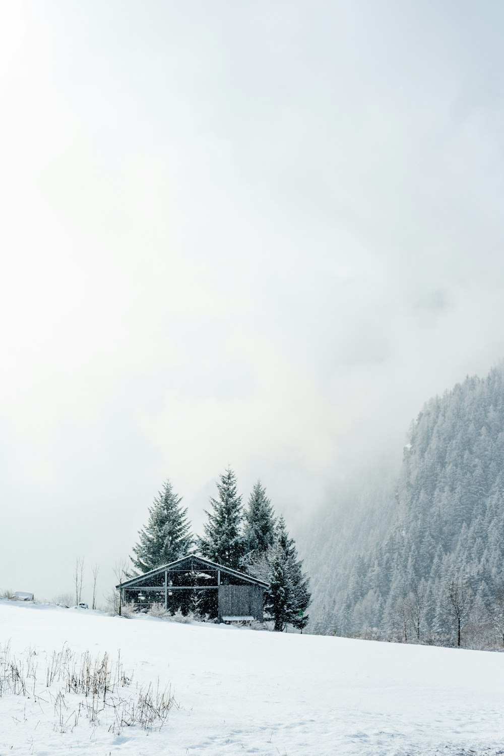 white and black house on snow covered ground