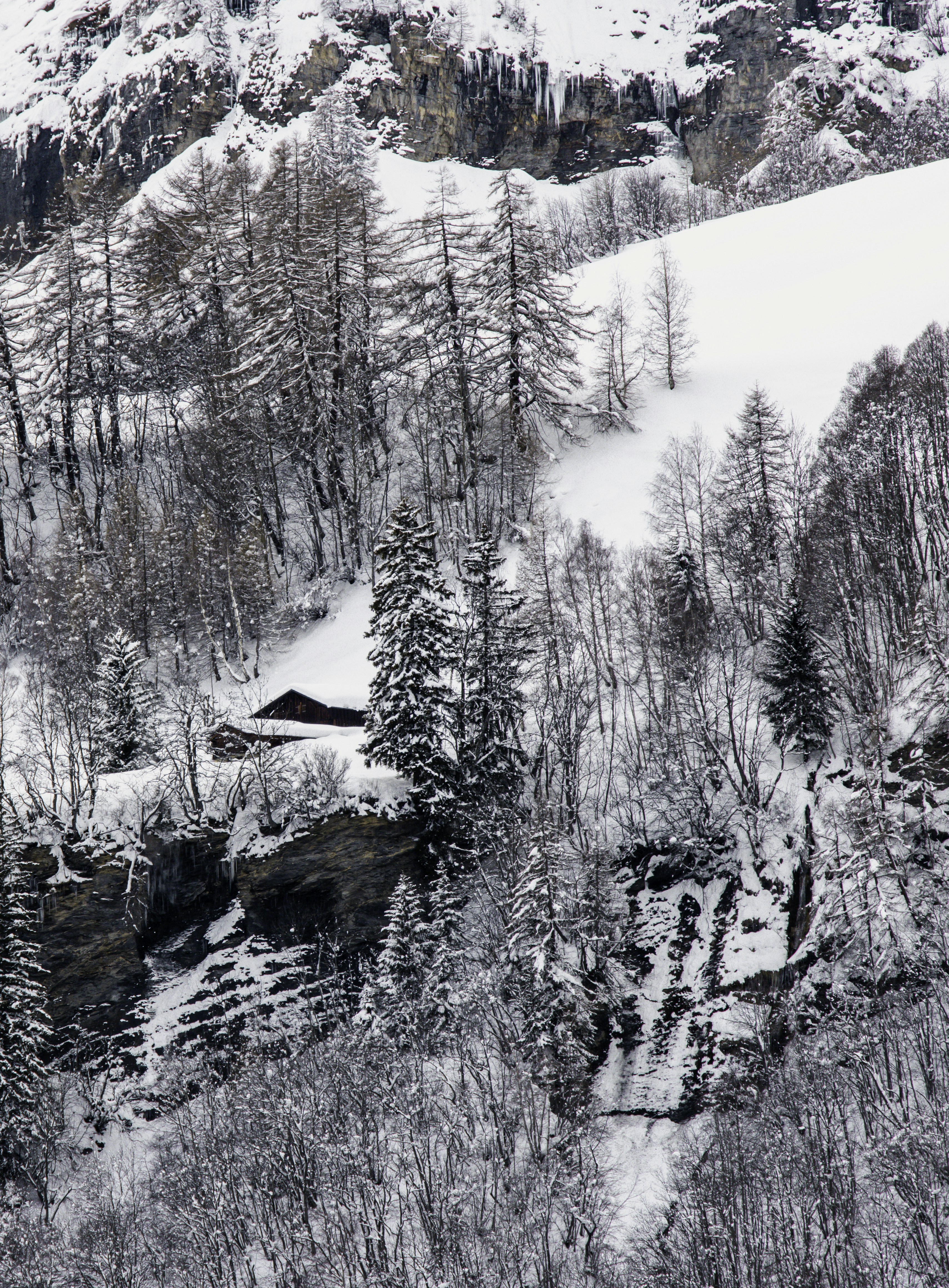 Photo by tersiusvanrhyn