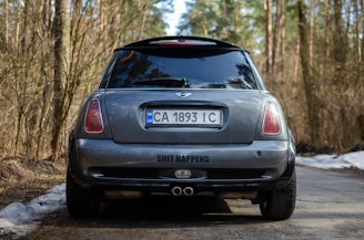 A compact silver car with a Ukrainian license plate is parked on a forest road. The car's rear features prominent taillights and a custom bumper sticker. The surrounding area is wooded with tall, sparse trees and remnants of melting snow on the ground.