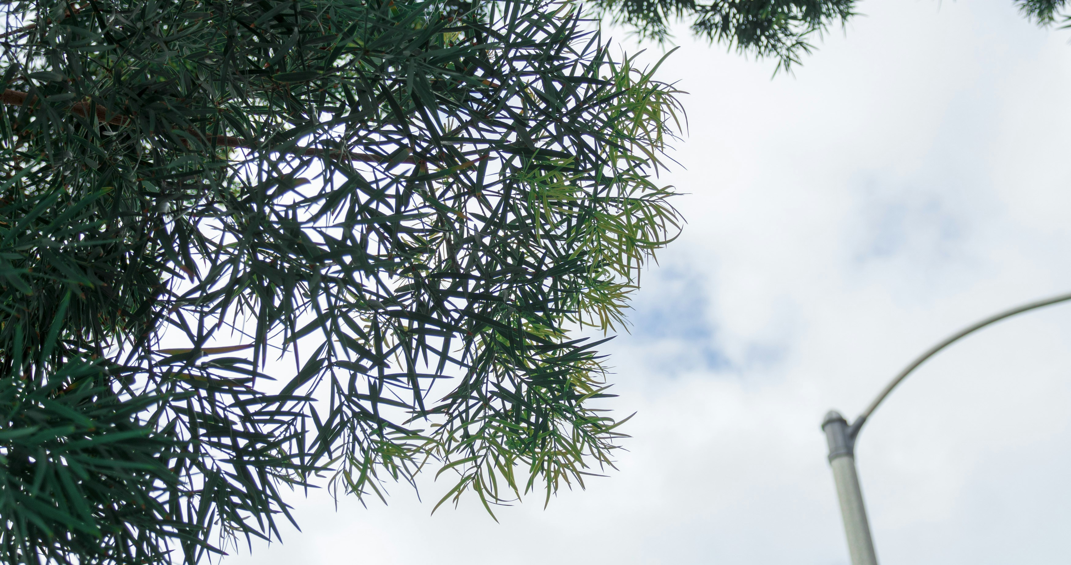 Photo by _nickwright_