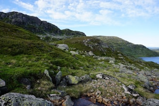 A scenic background artwork showcasing the game world.