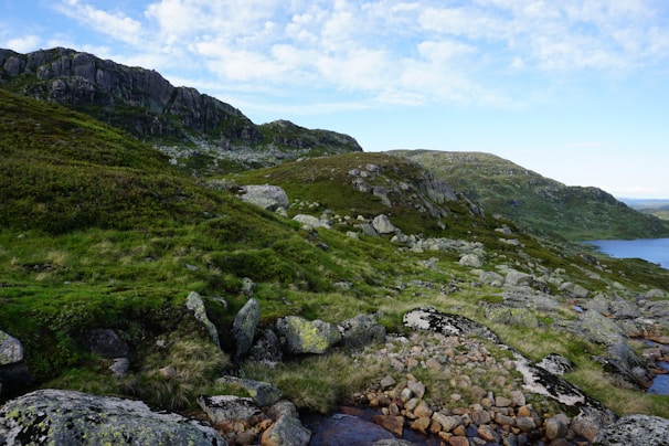 A scenic background artwork showcasing the game world.