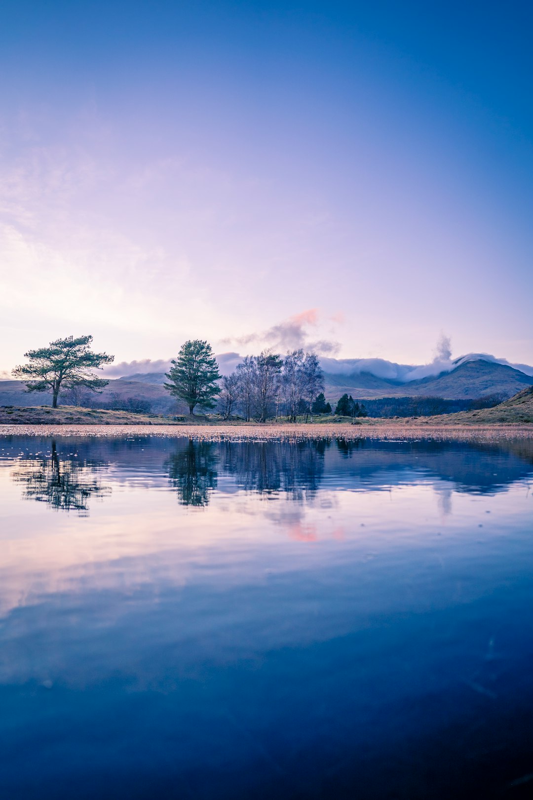 green trees near lake under blue sky during daytime