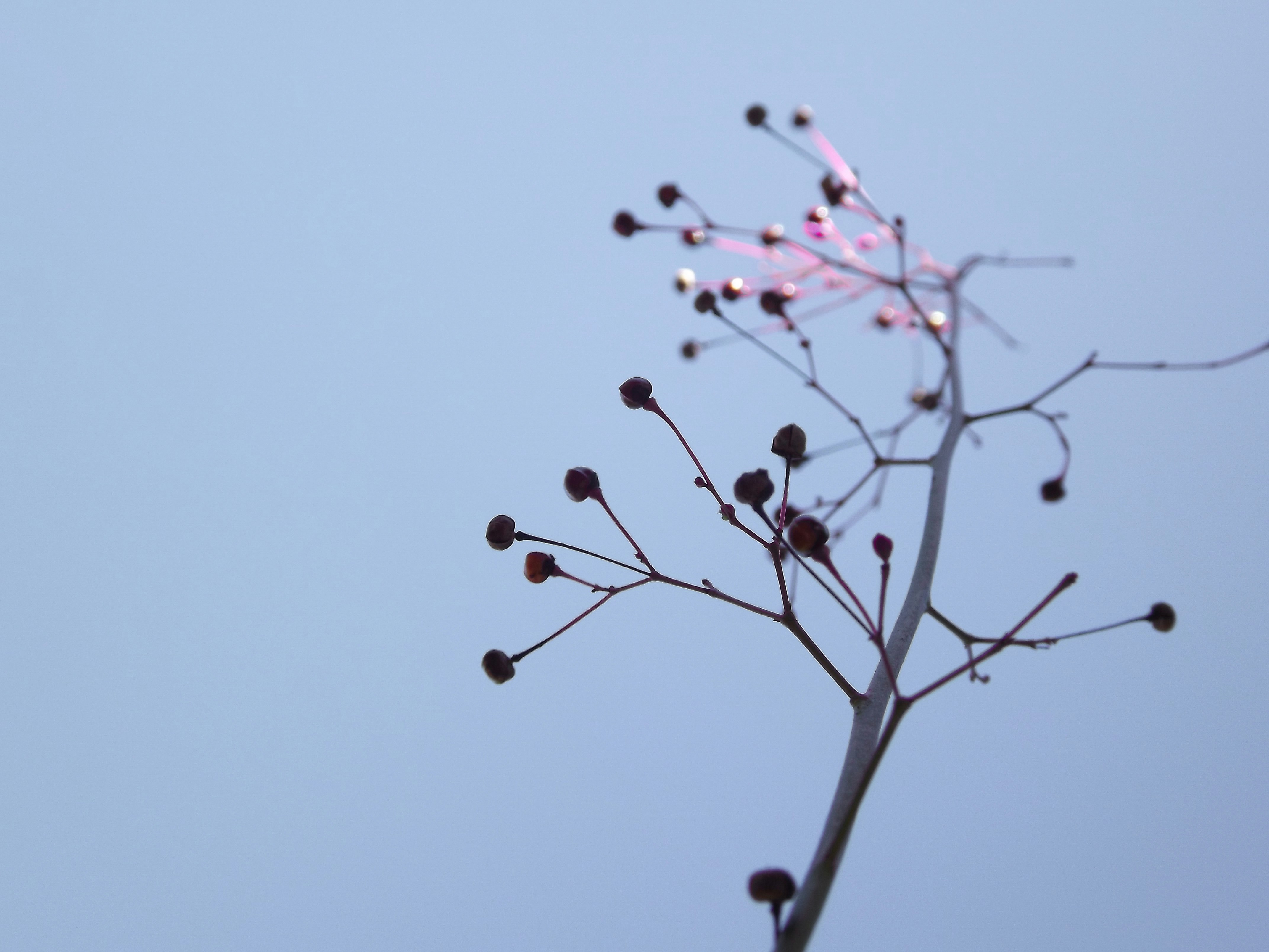 Photo by eduarda_olechak