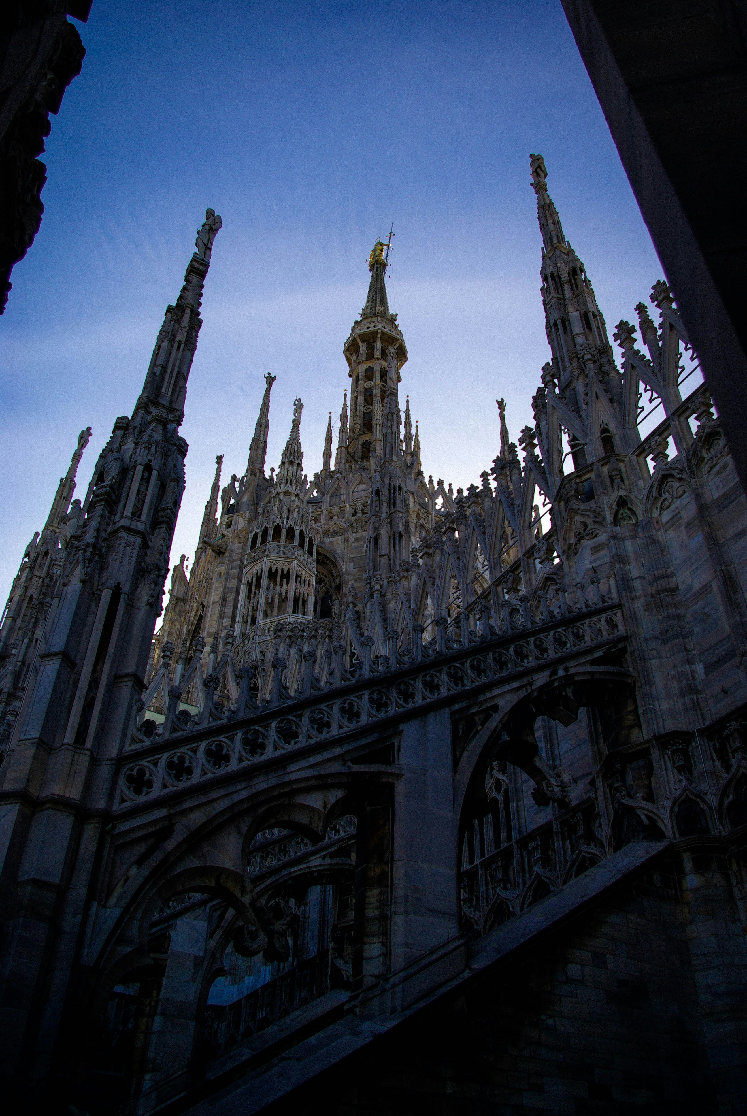 photo-1616525575614-170af05df771?ixlib=rb-4.0.3&ixid=M3wxMjA3fDB8MHxwaG90by1wYWdlfHx8fGVufDB8fHx8fA%3D%3D&auto=format&fit=crop&w=1978&q=80