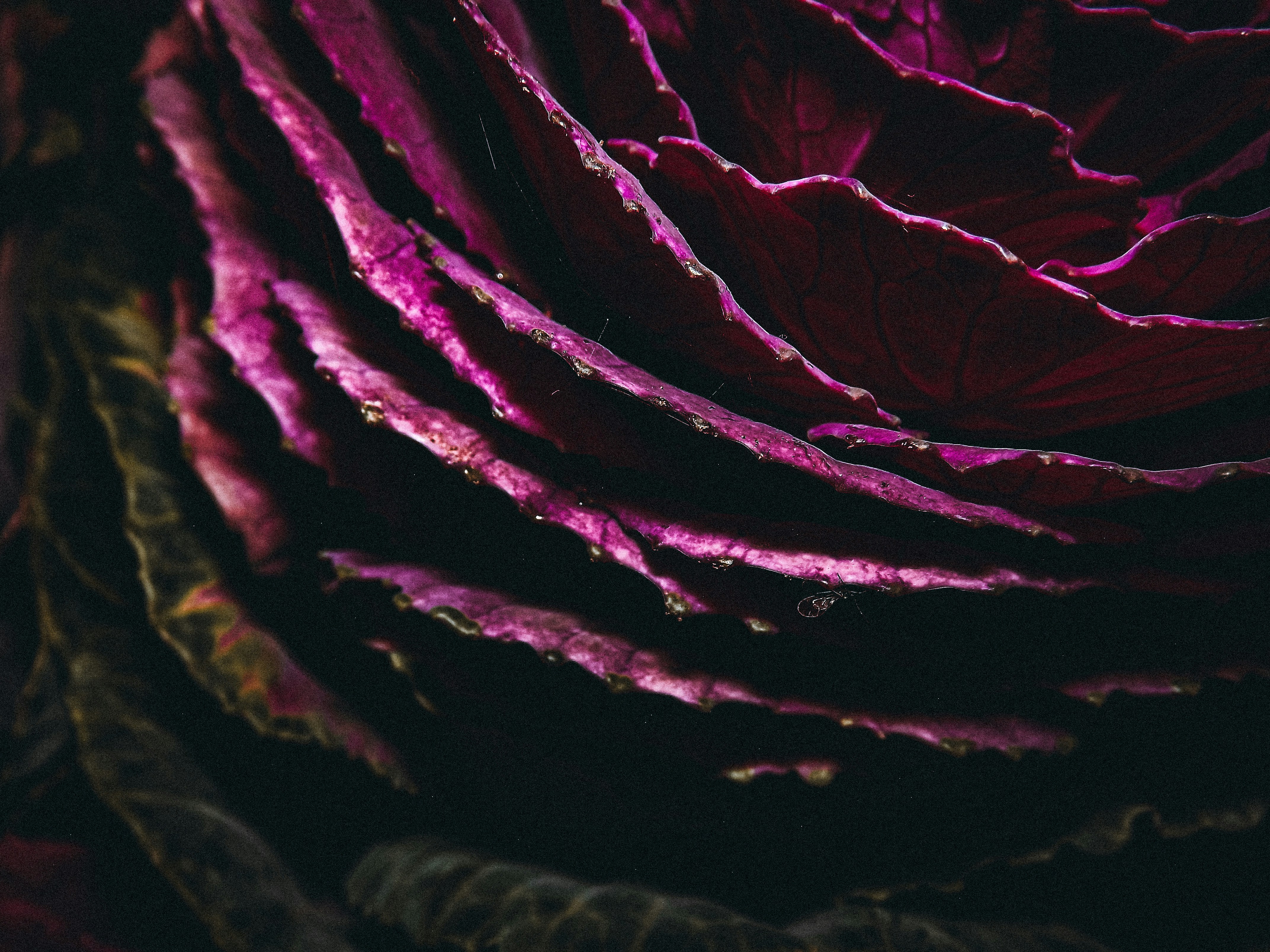 Photo by filedoesnotexist