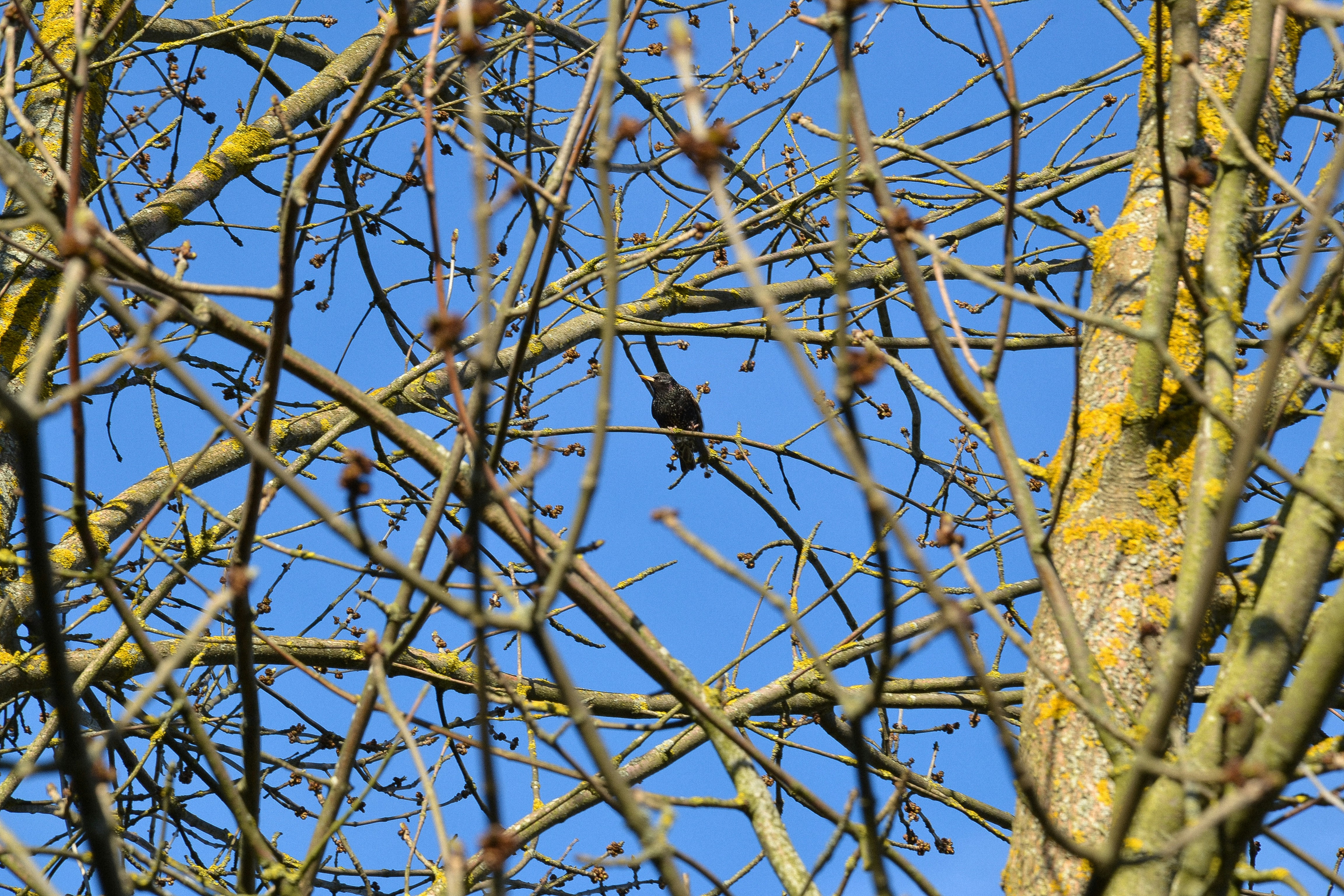 Photo by filedoesnotexist