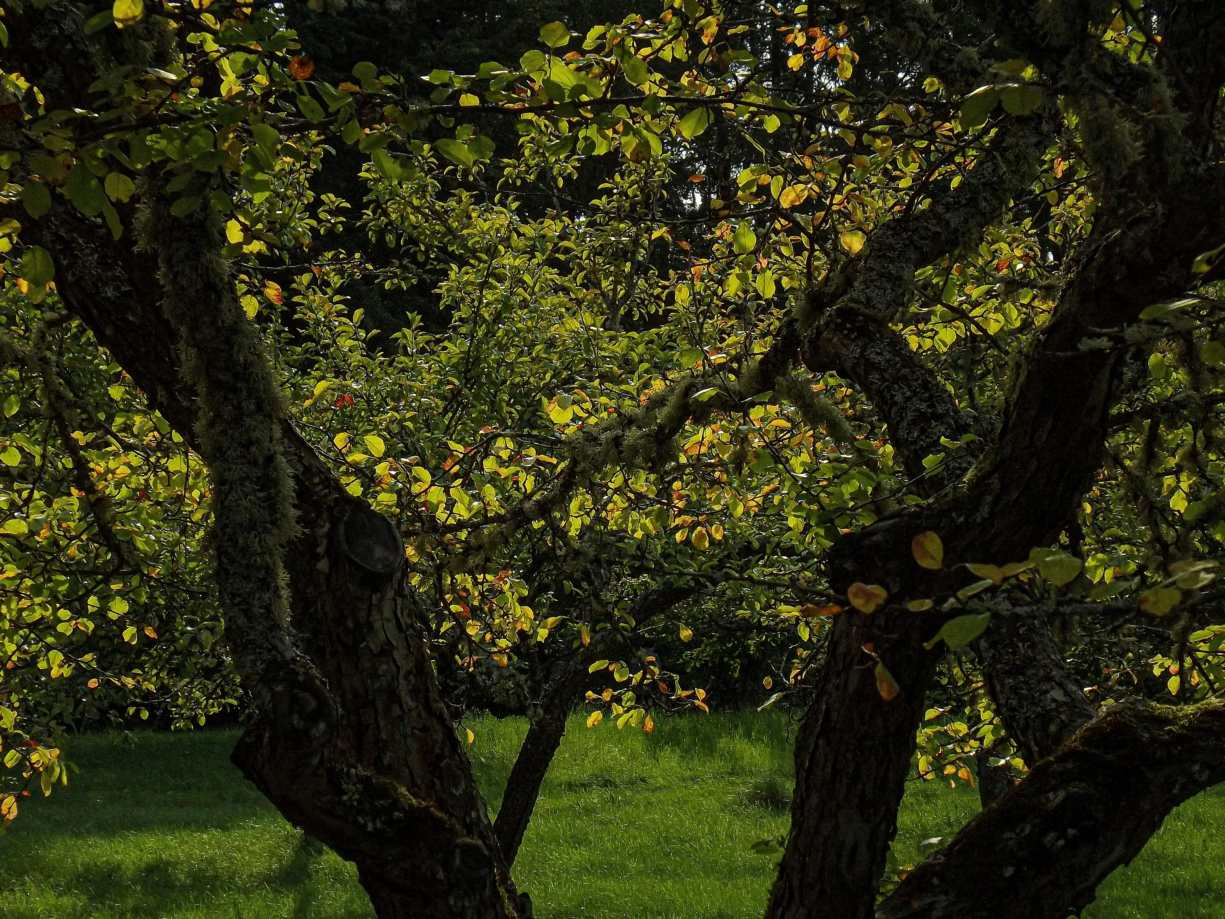 Photo by filedoesnotexist