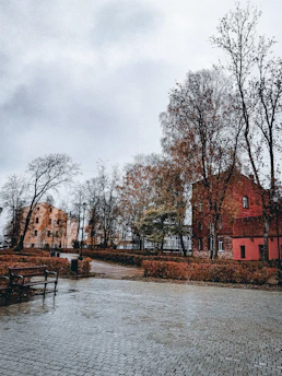A panoramic shot of a quiet, overlooked city corner with scattered leaves and fading paint.