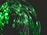 A series of glowing green LED lights are intertwined with thin, flexible wires, creating a swirling pattern against a dark background.