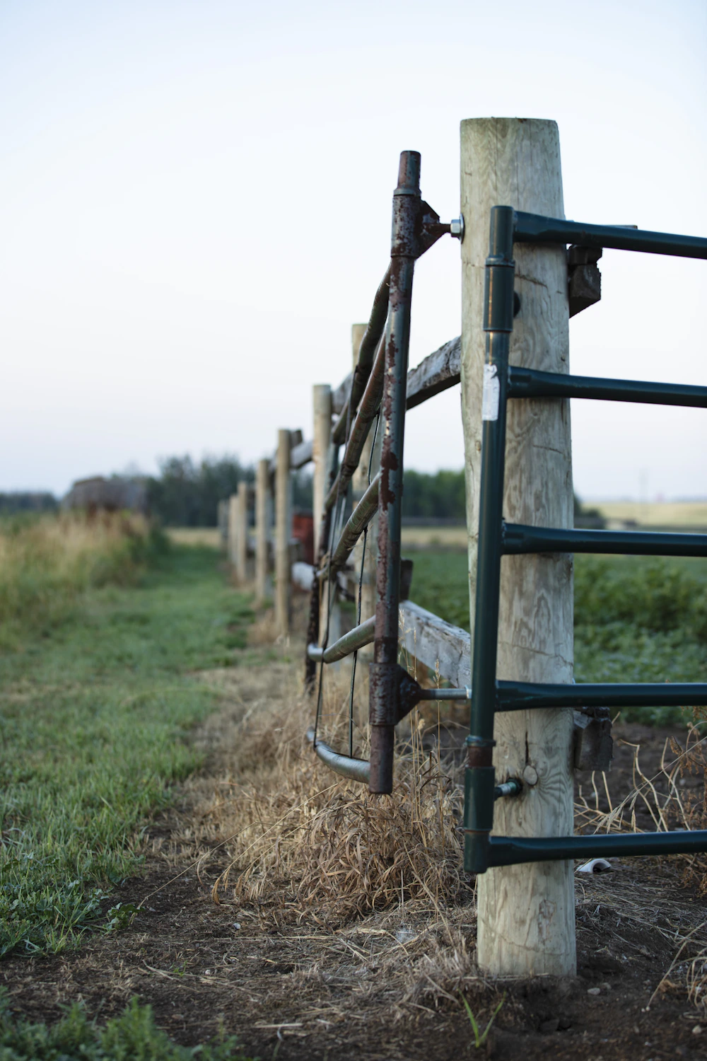 Fence line across a Southern Oregon field
