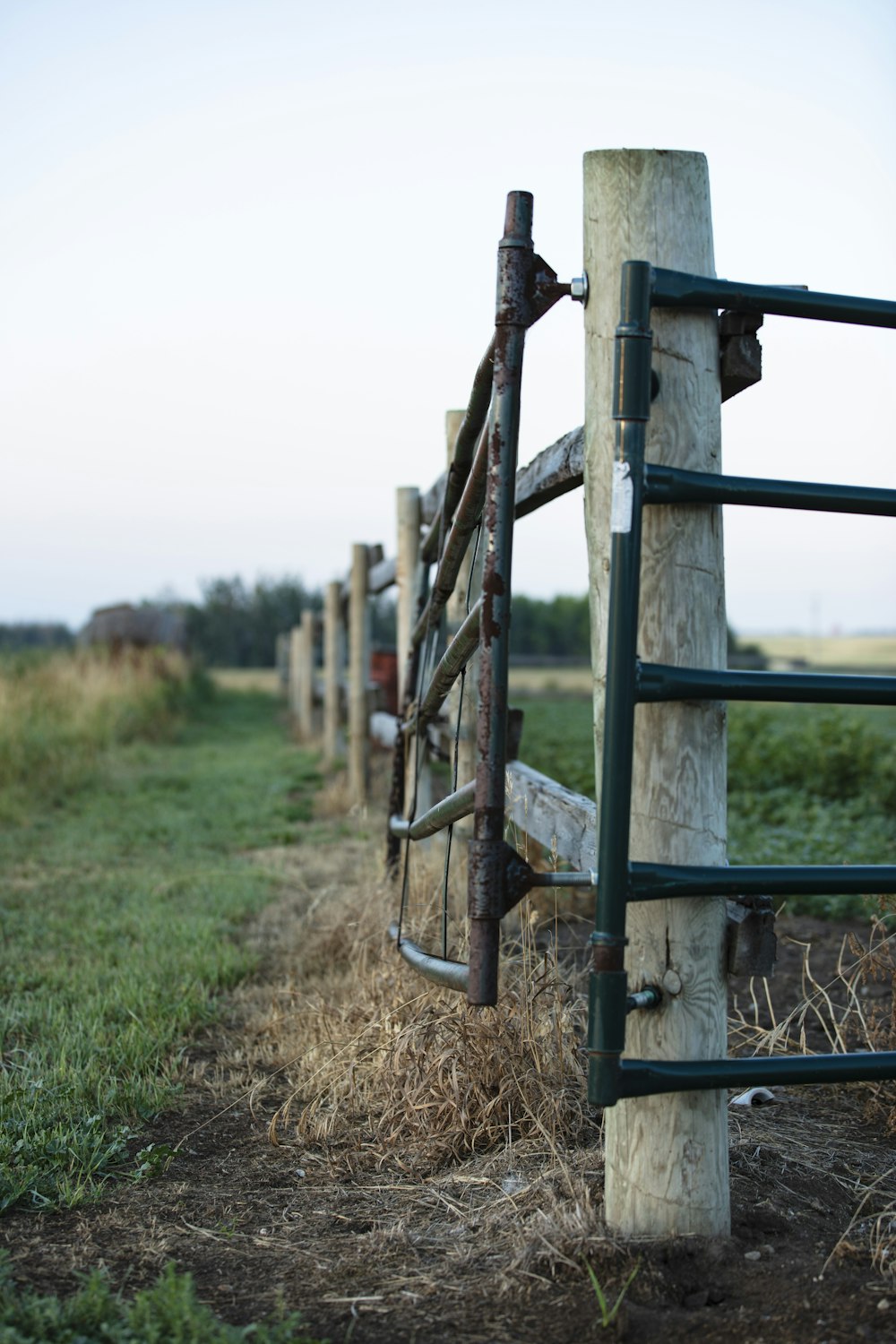 brown wooden fence on brown grass field during daytime