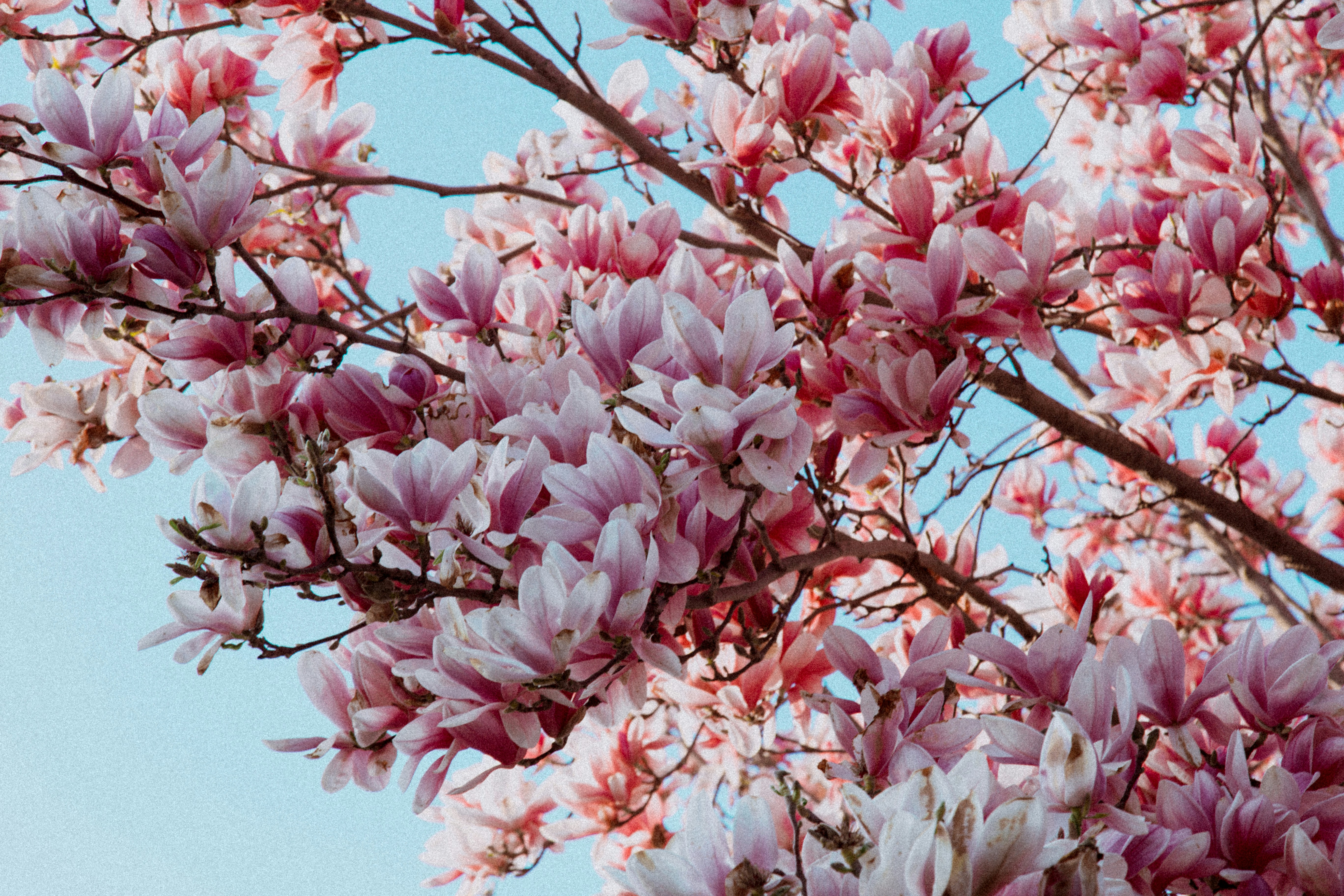 Photo by i_am_simoesse