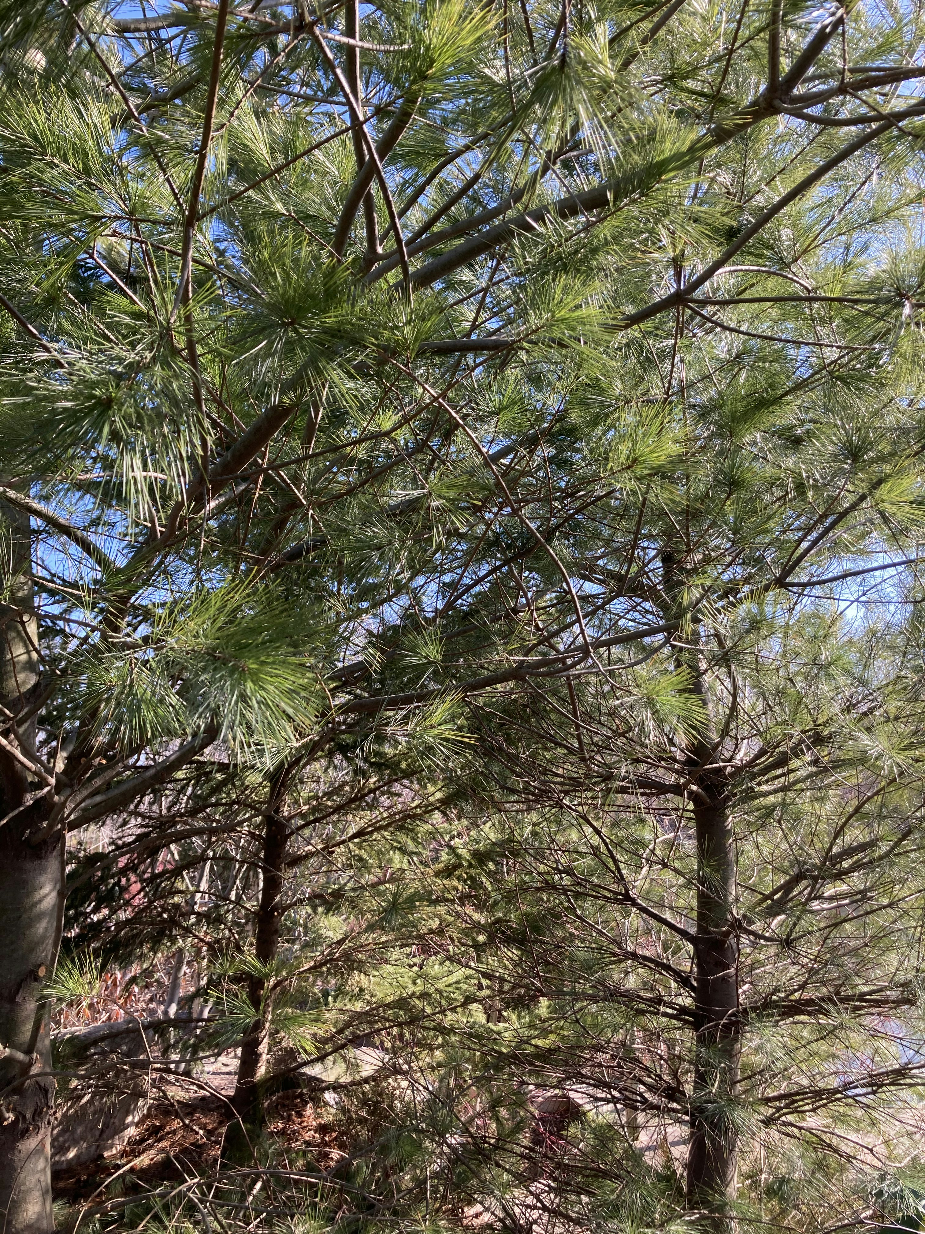 Photo by bradybronson