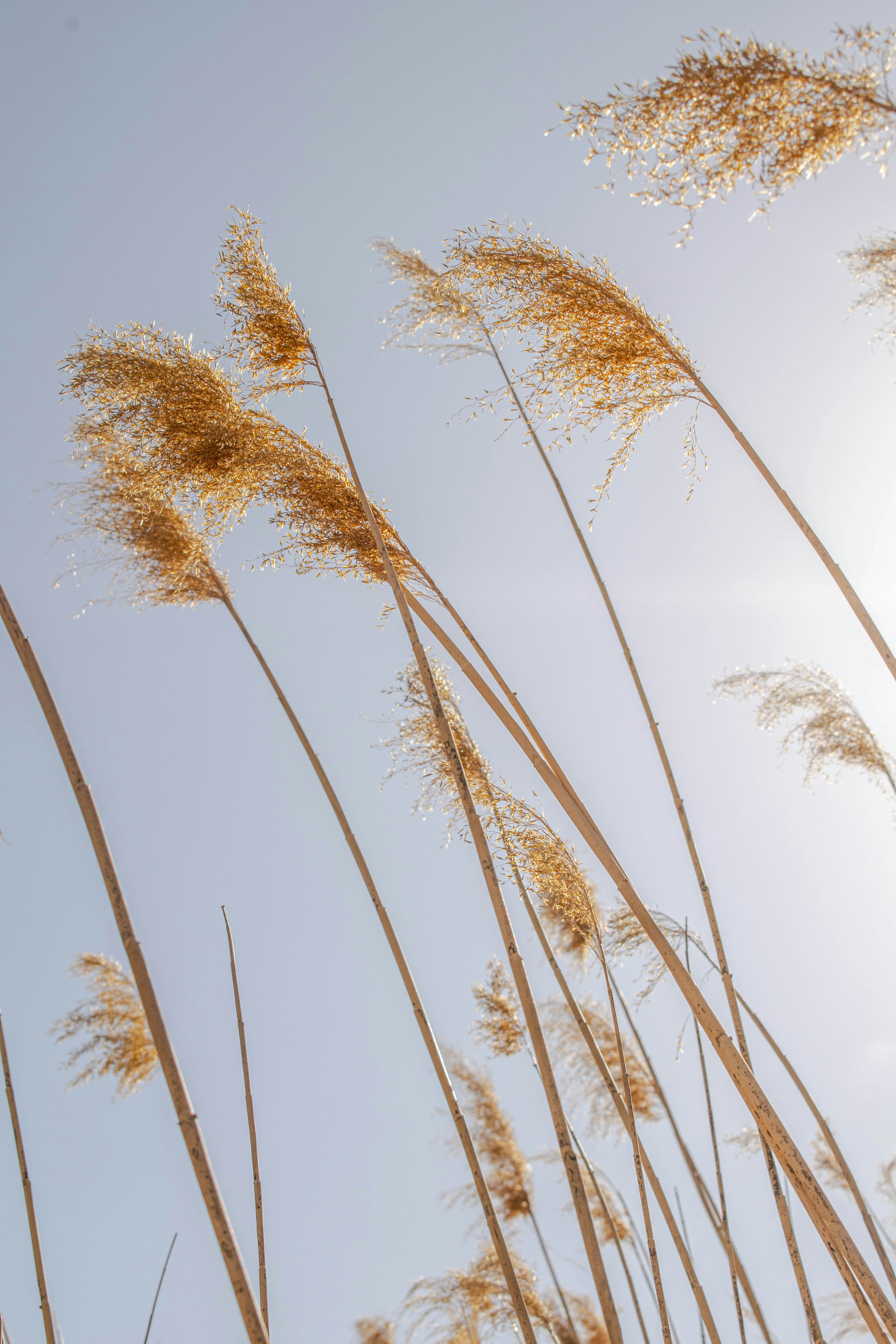 Photo by alexandre13