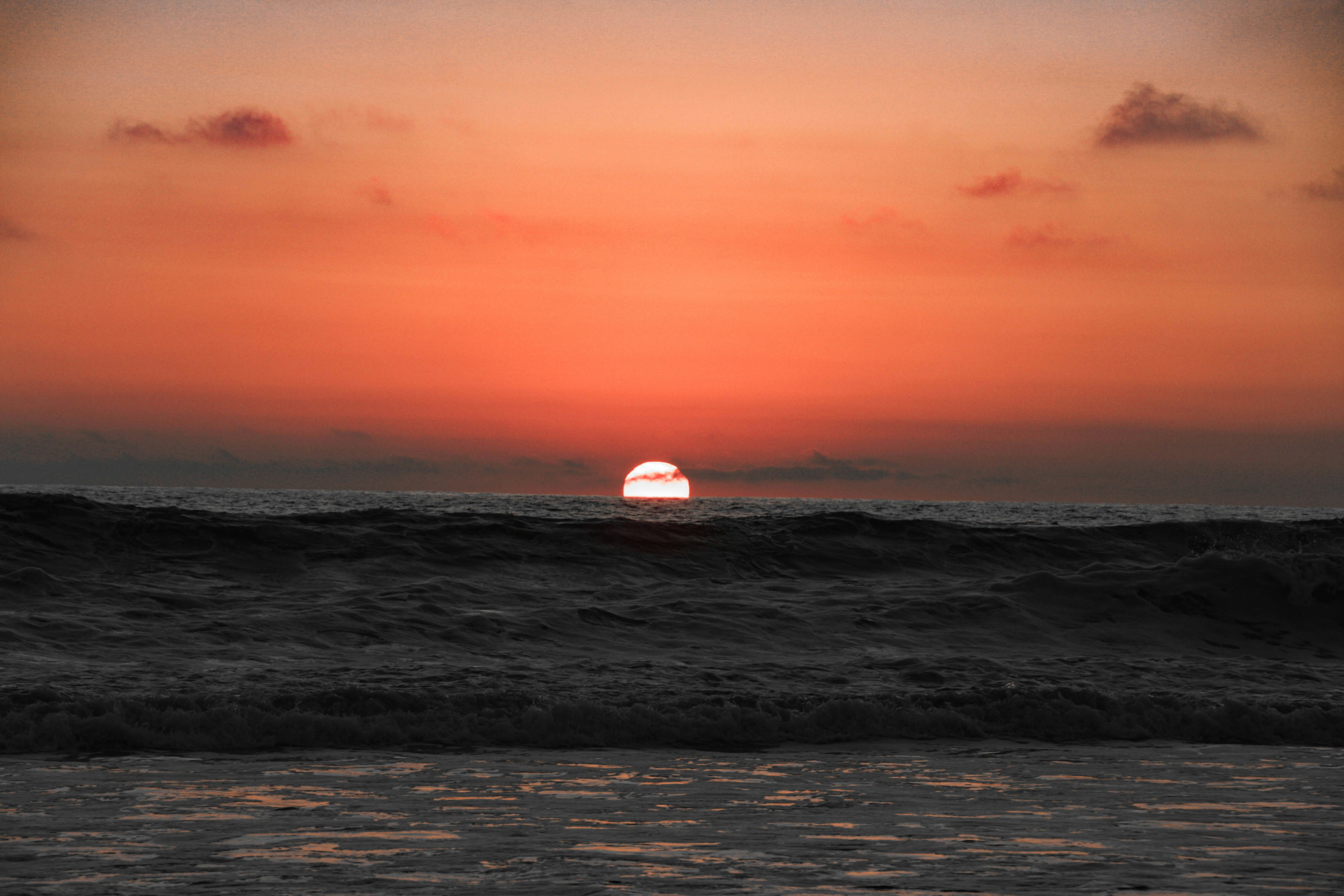 Photo by dogblack22