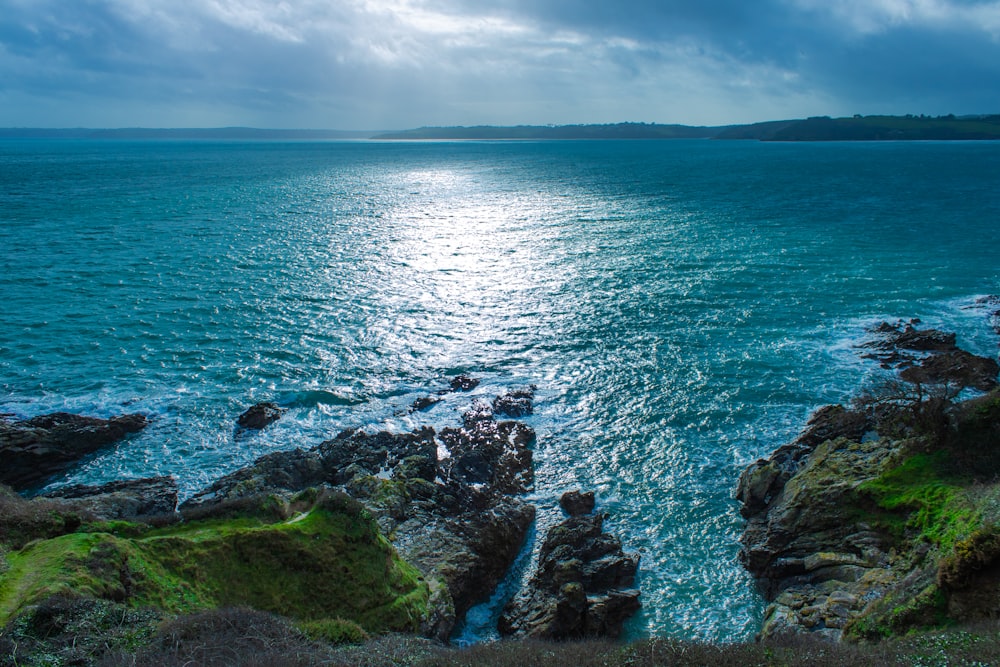 green moss on rocky shore during daytime